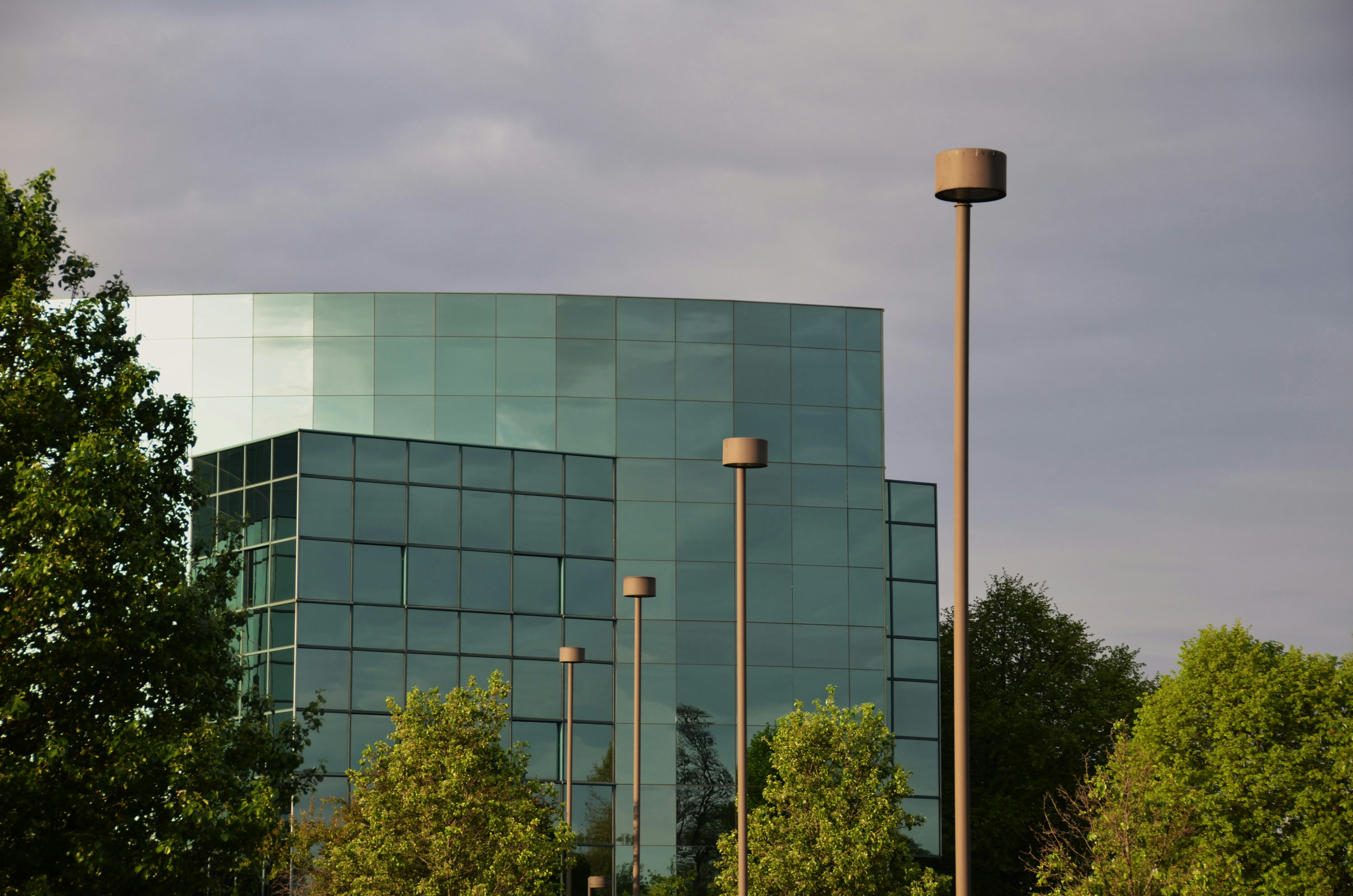 緑の木々に囲まれた現代的なガラス建築。