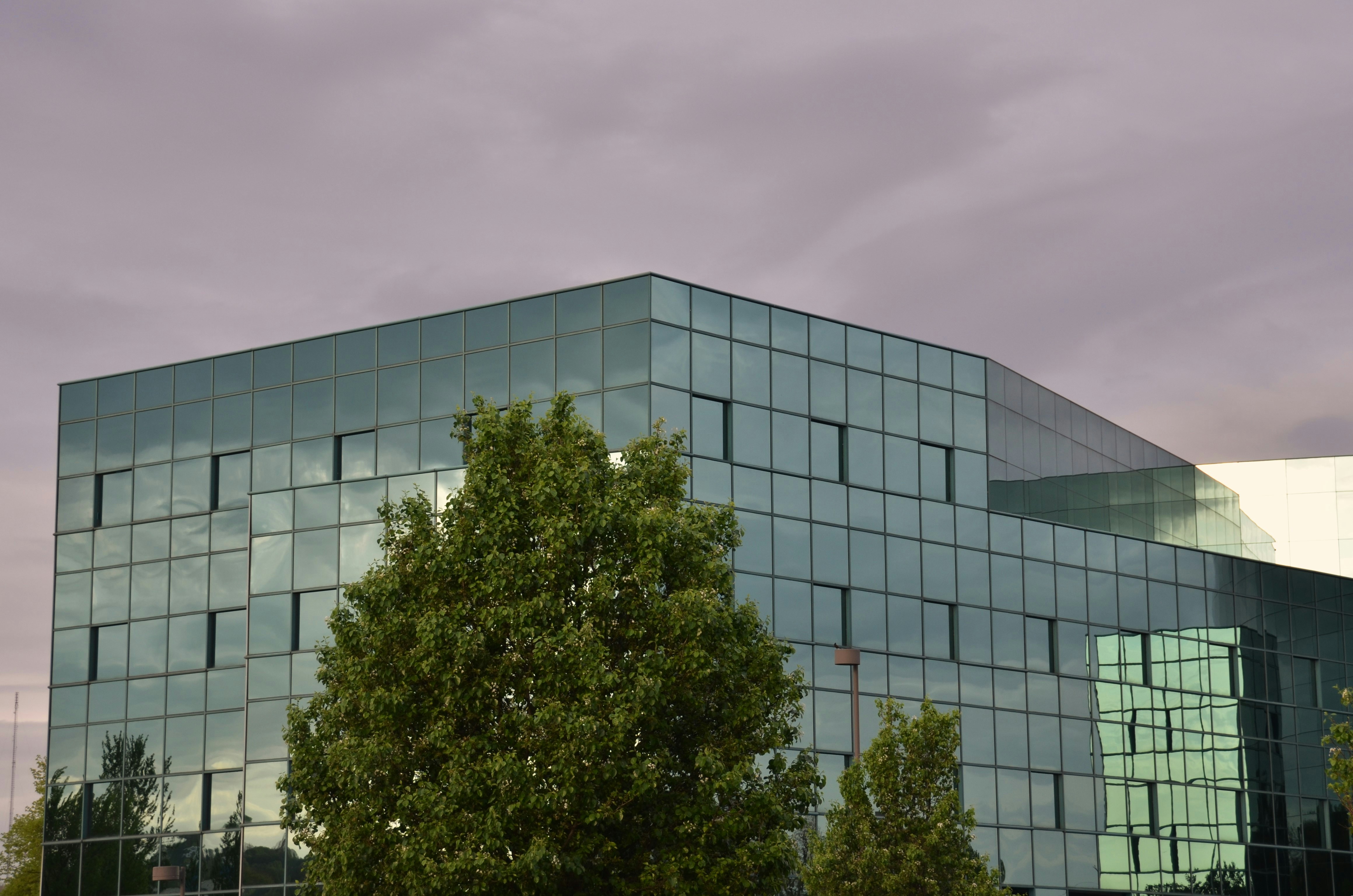 緑の木々と曇った空を持つ現代的なガラス建築