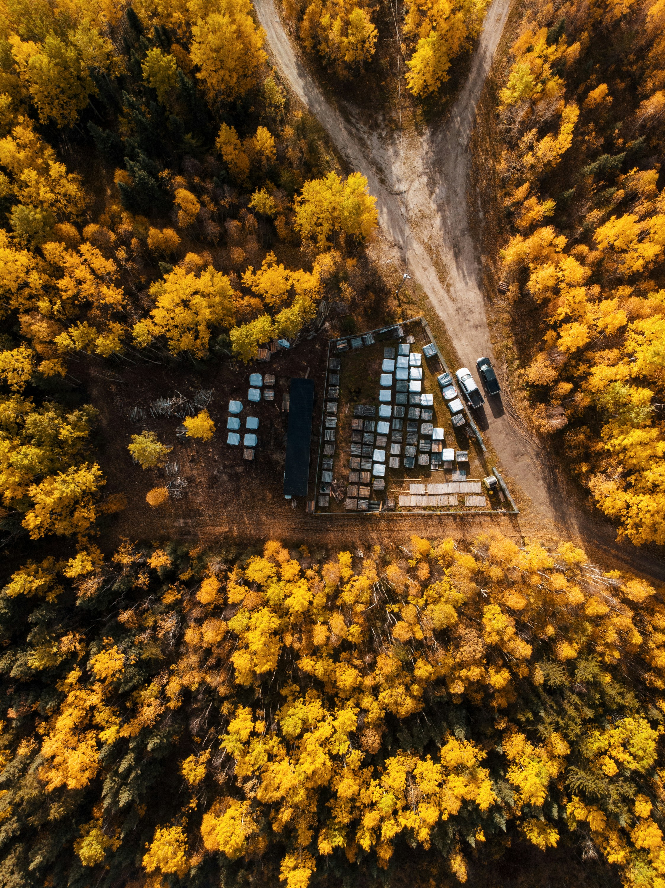 Vista aerea di un apiario in una foresta autunnale
