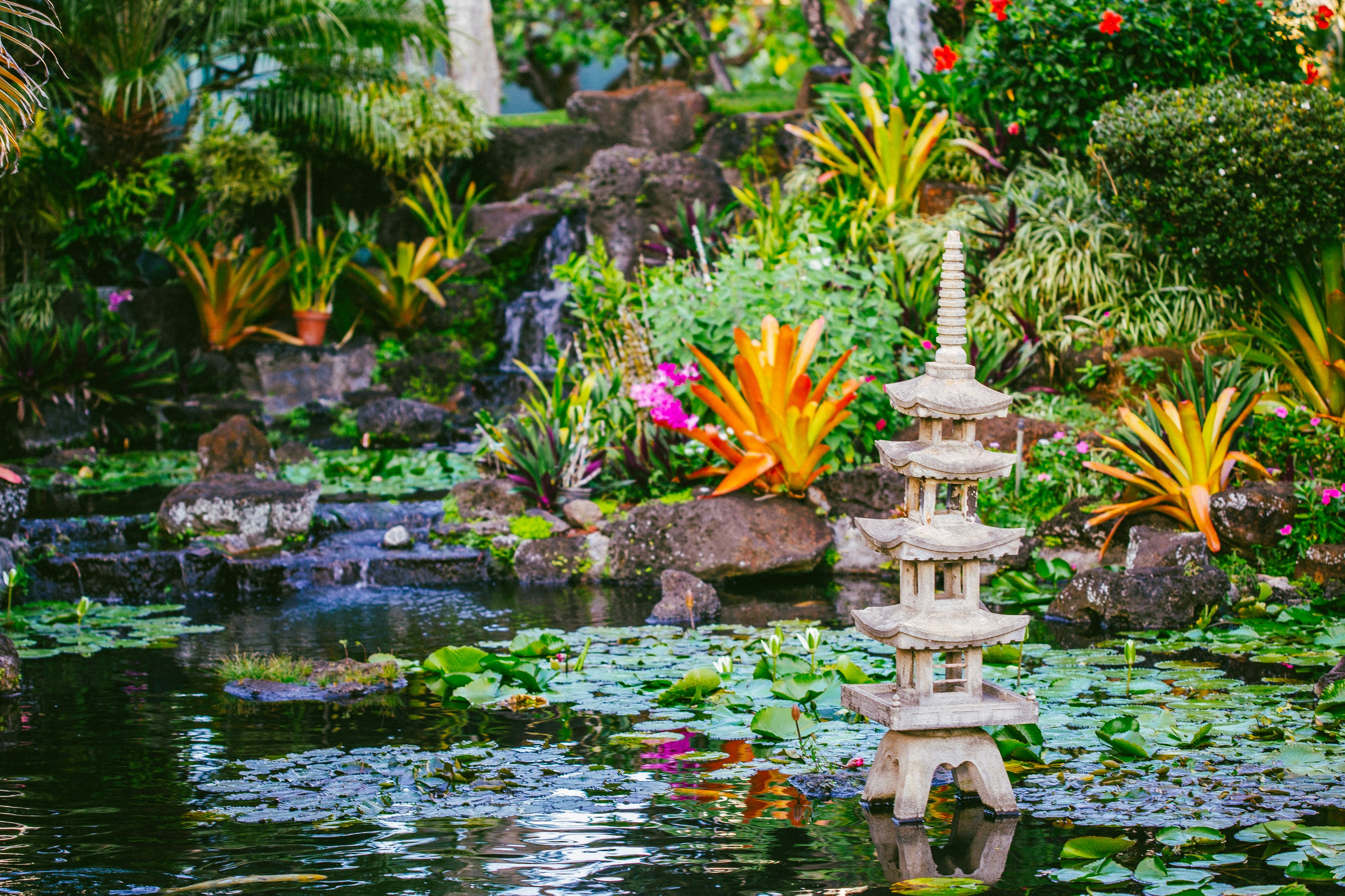 Giardino rigoglioso con uno stagno e una pagoda in pietra