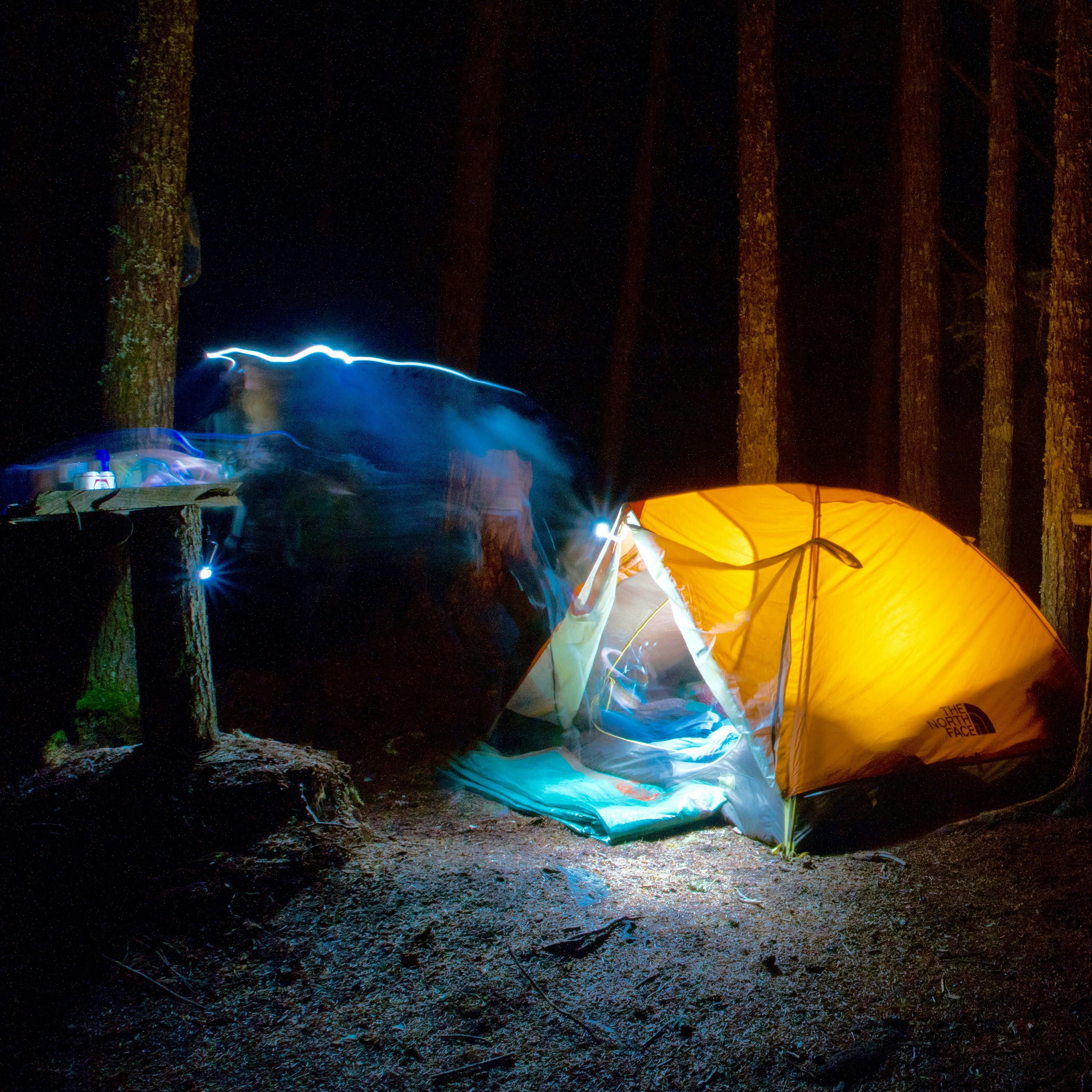 Tenda luminosa montata in una foresta buia di notte