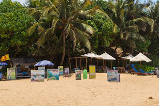 Beach with palm trees, umbrellas, and signs.