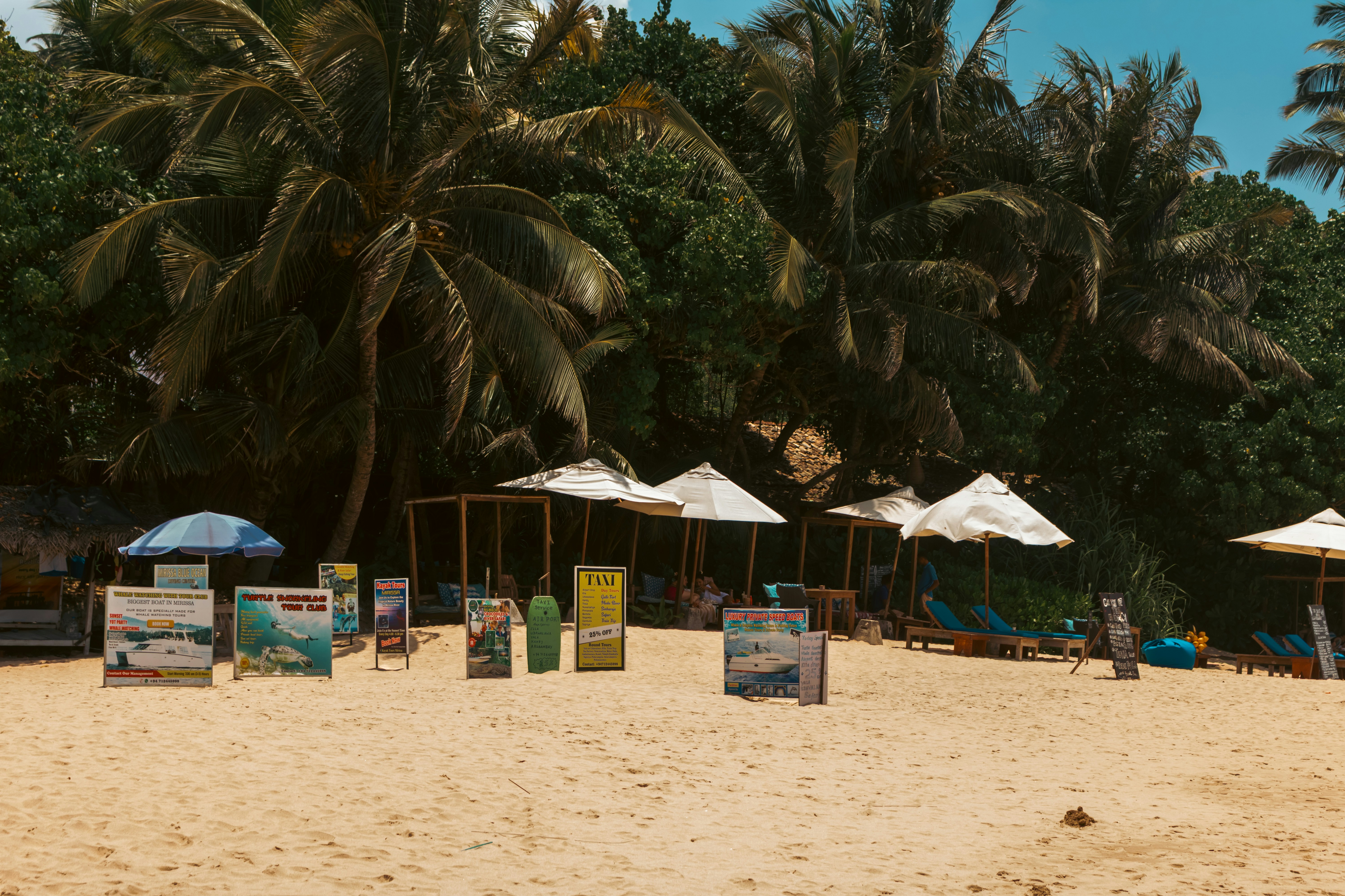 A tropical beach scene in Mirissa, Sri Lanka, filled with advertising boards placed in the sand promoting various tourist activities. The signs create a busy foreground against the calm ocean backdrop, highlighting the commercial side of a popular travel destination.