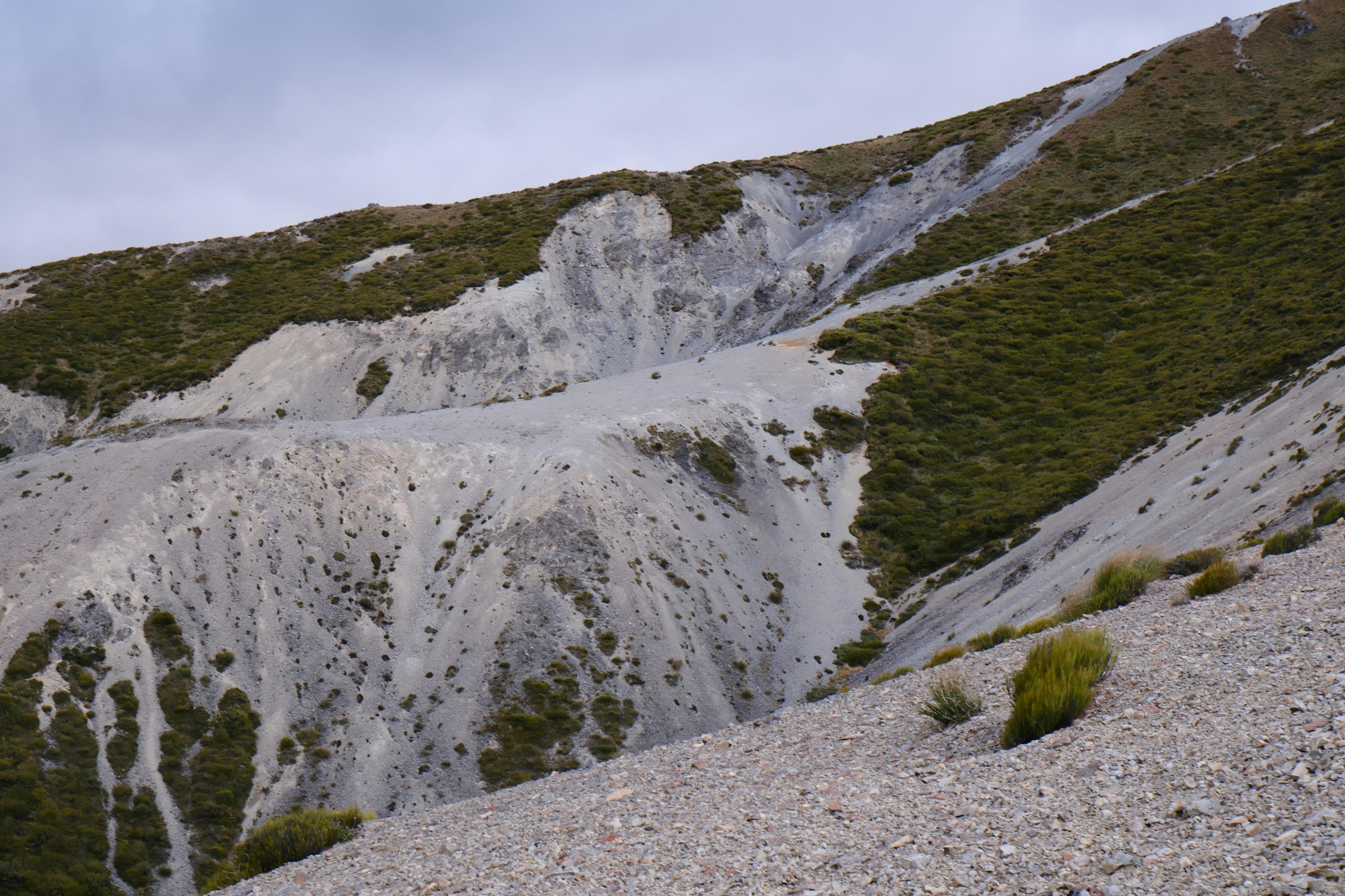 A rocky hillside with sparse green vegetation and white streaks.