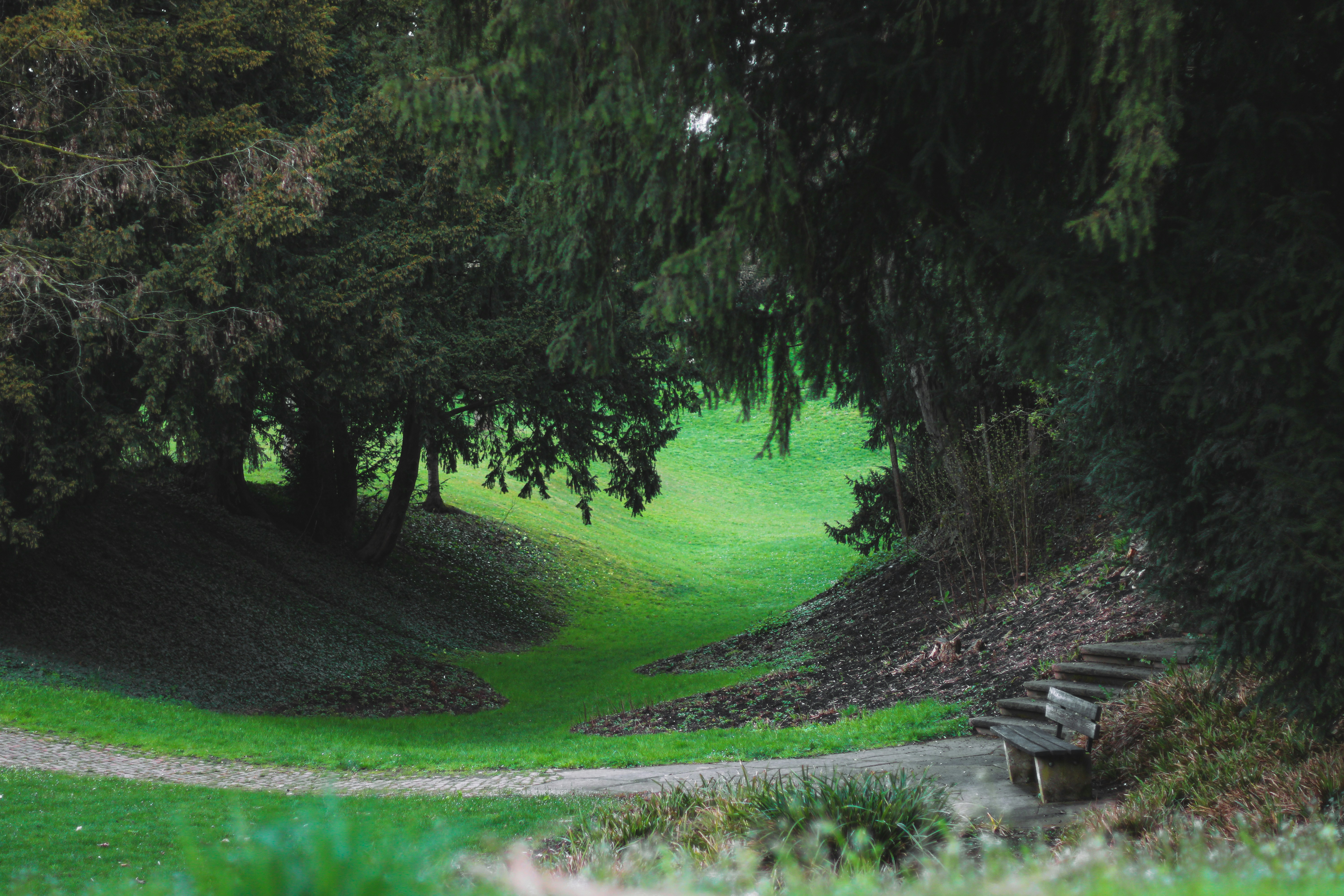 Woodland Hills Park