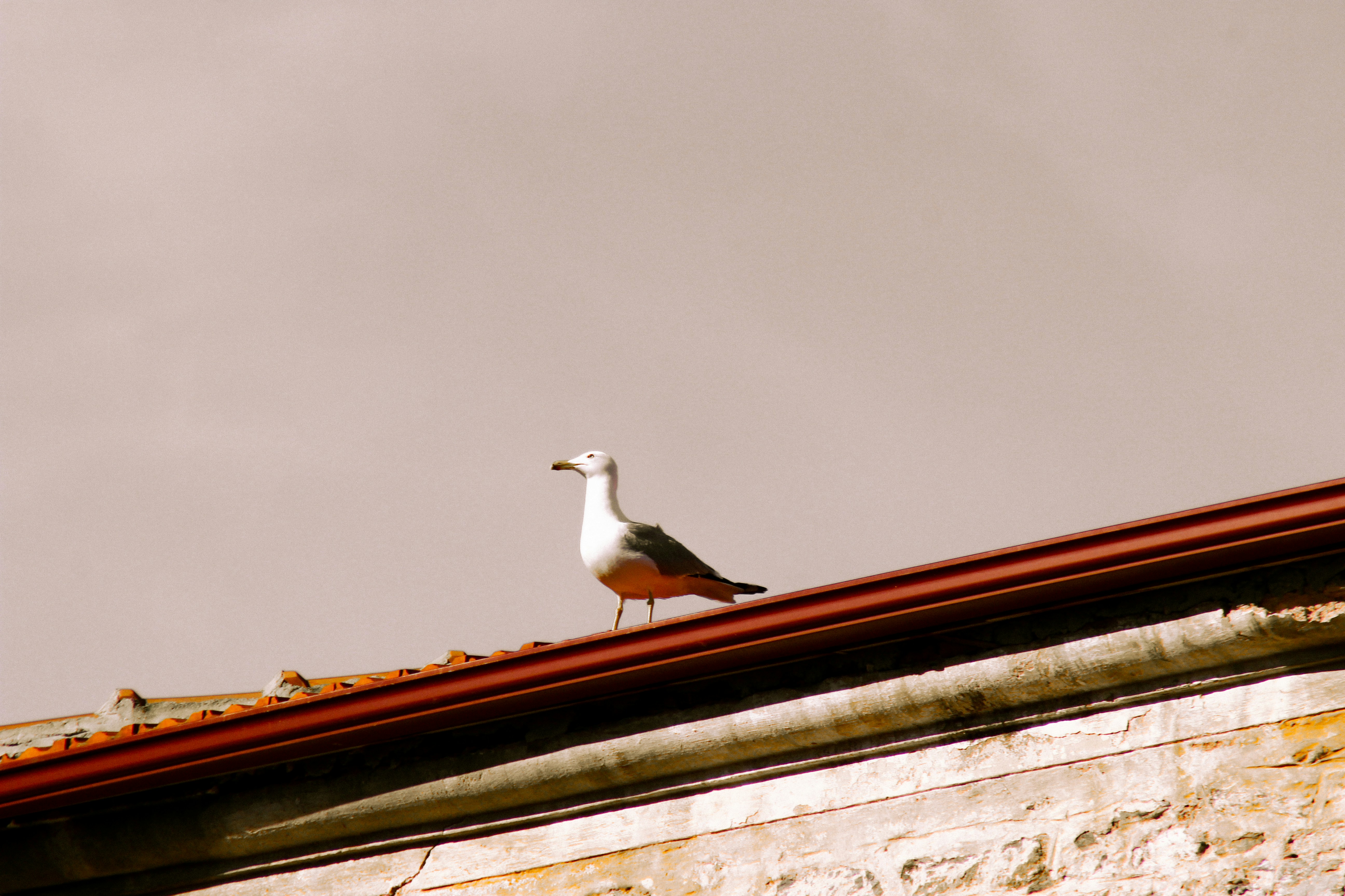Photo by ilkeyazgan