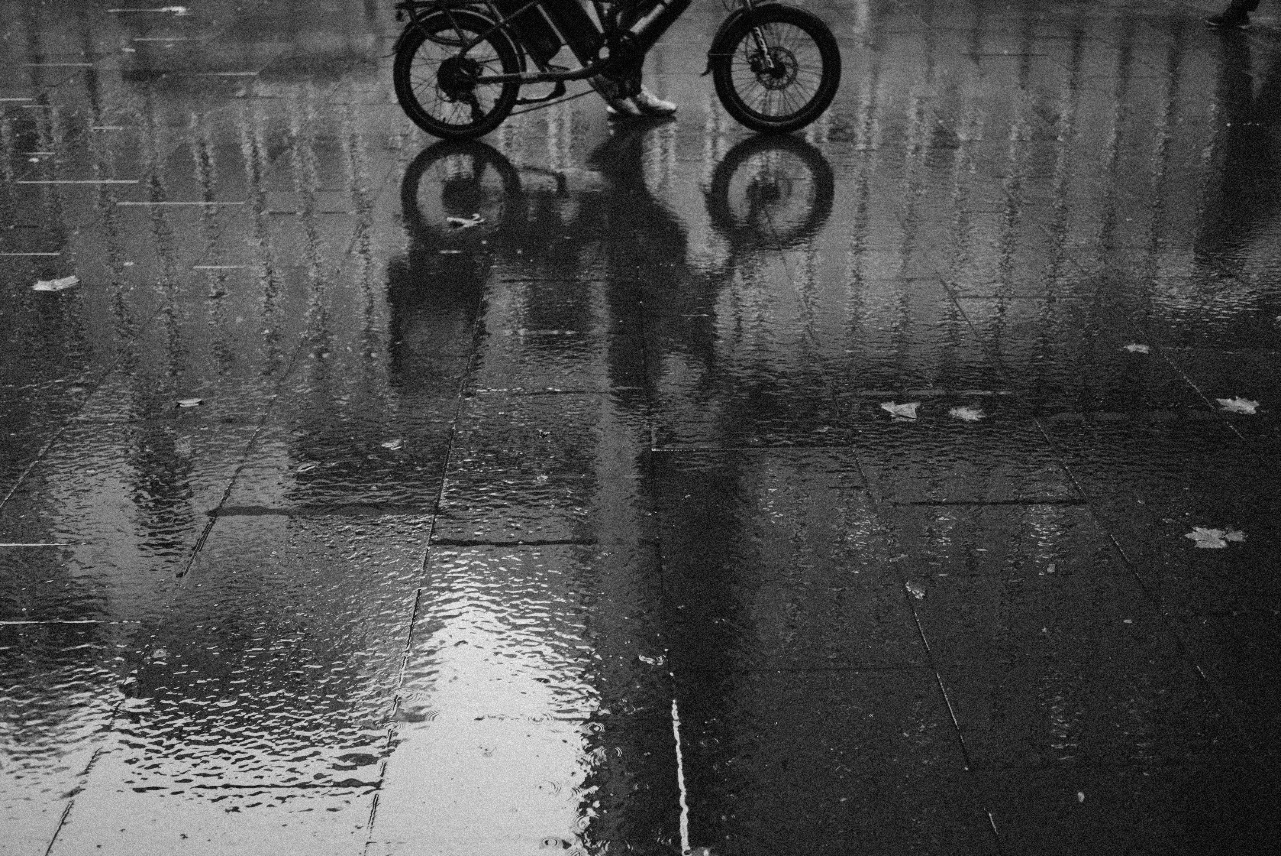 濡れた舗装路に自転車に乗る人の反射。