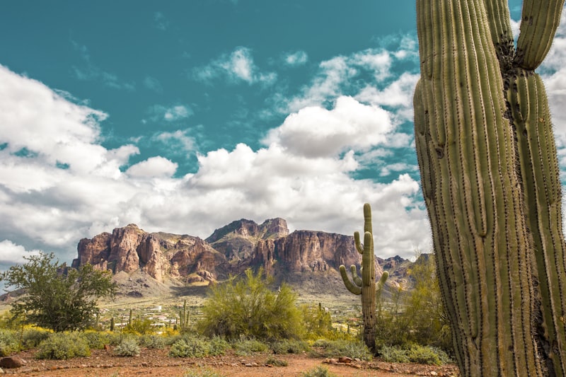 Desert landscape with saguaro cactus and mountains.