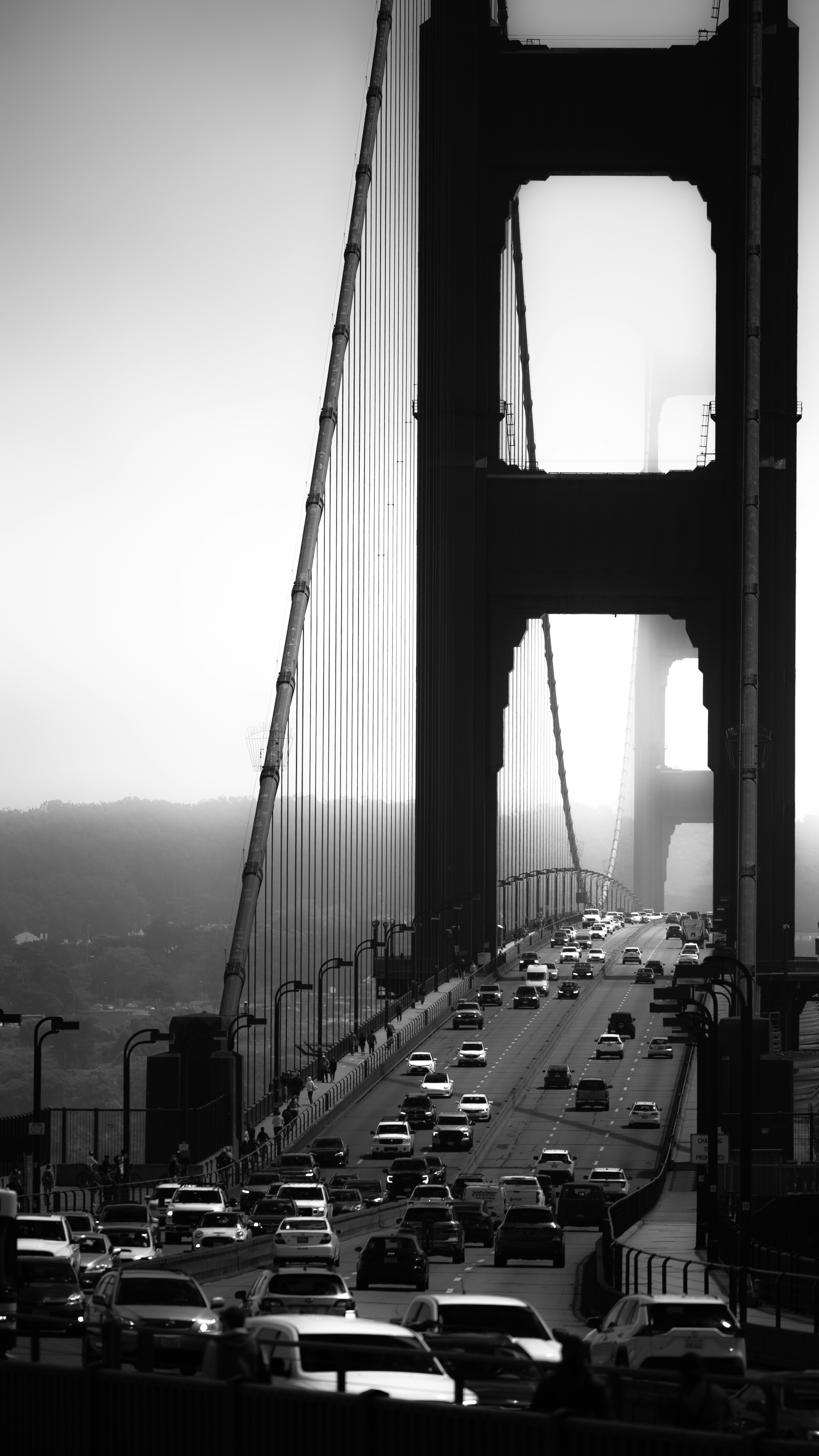 Traffico del Golden Gate bridge nella nebbia