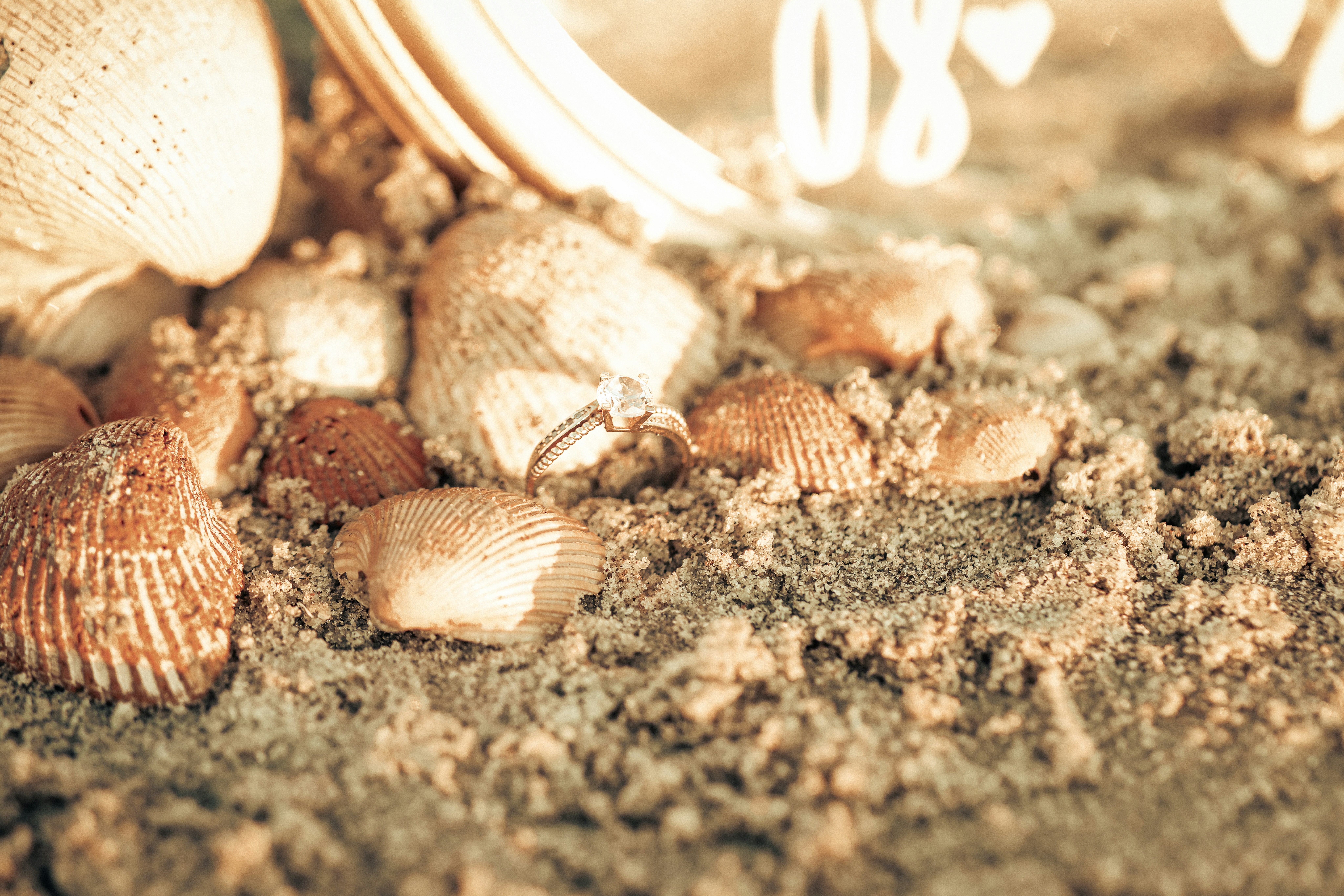 Seashells and sand with soft bokeh background