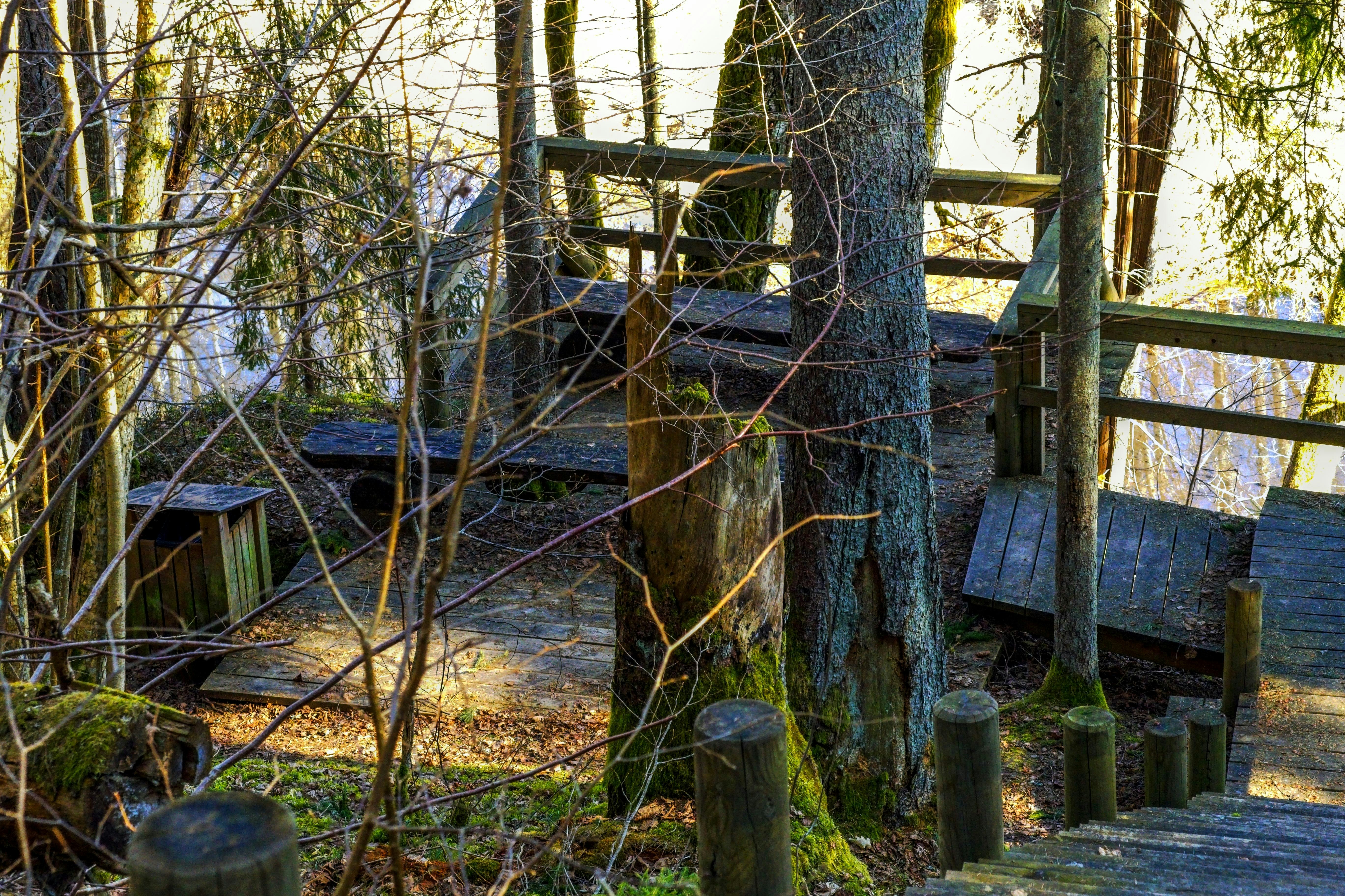 Fernglas für Vogelbeobachtung auf einem Holzsteg