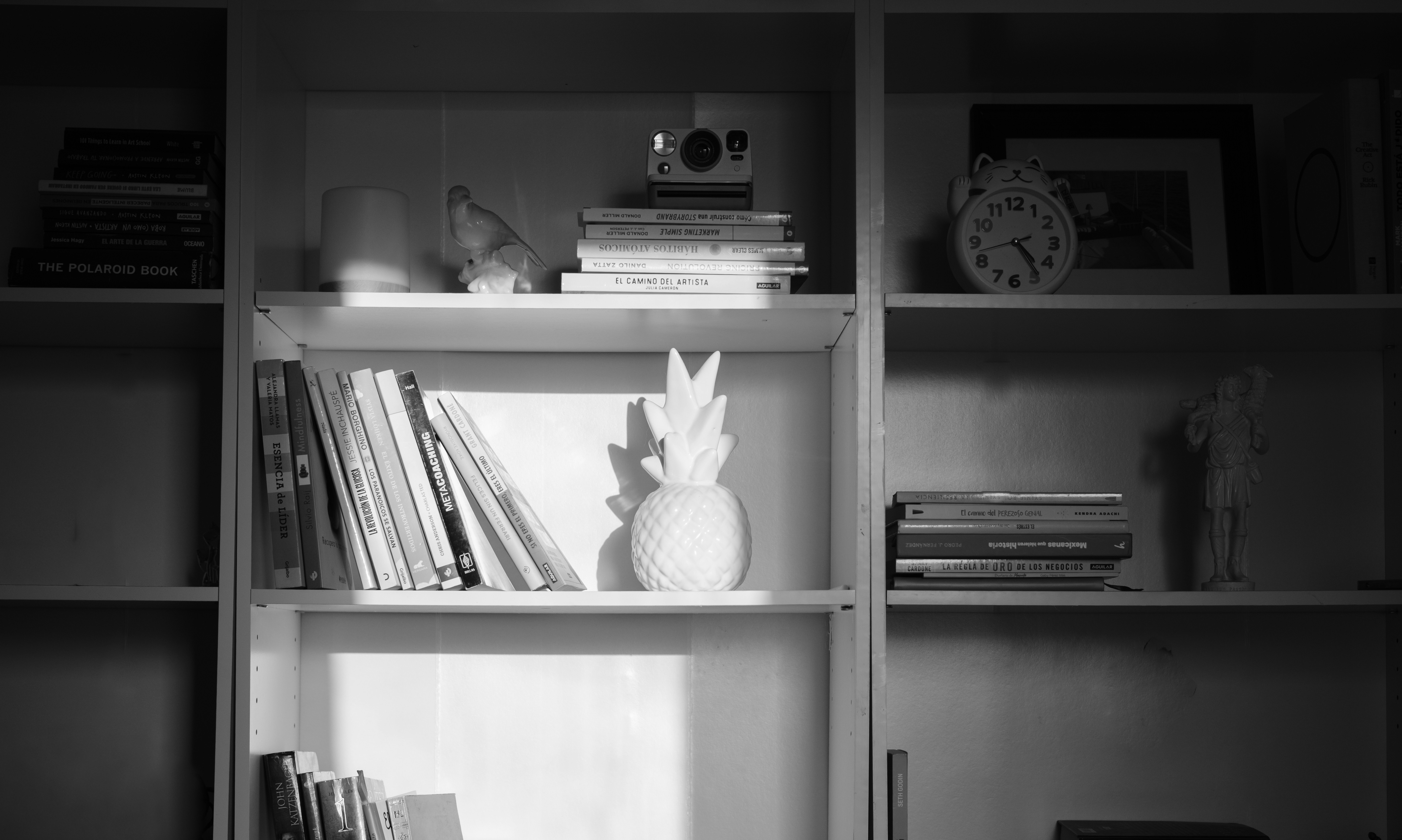 Bücher und dekorative Gegenstände im Bücherregal