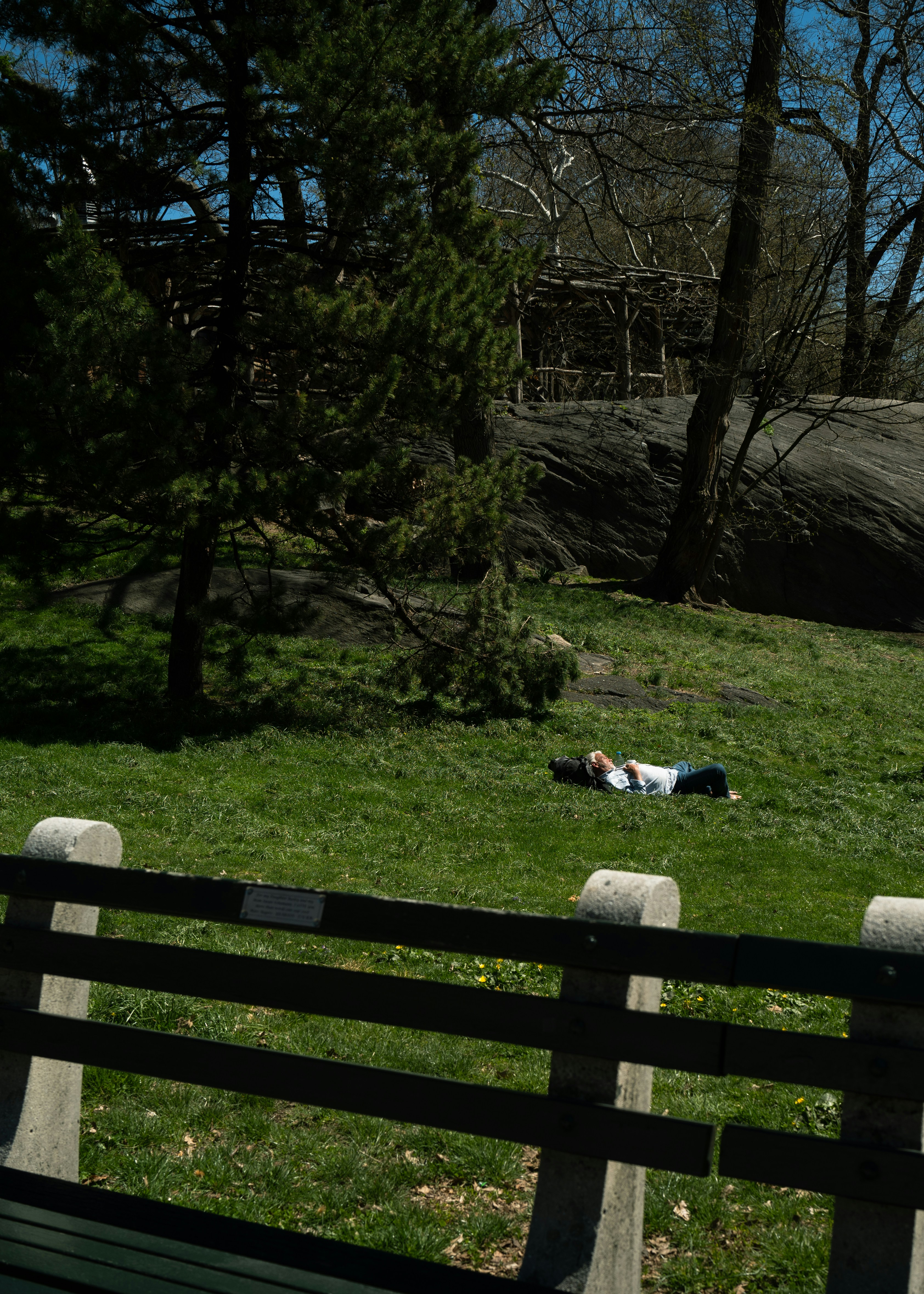 Person relaxing on grass in a park.