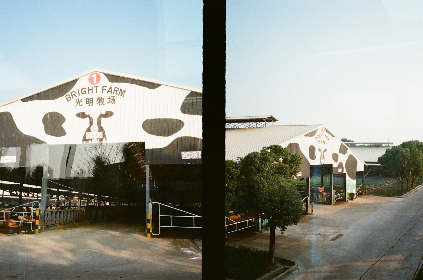 Dairy farm