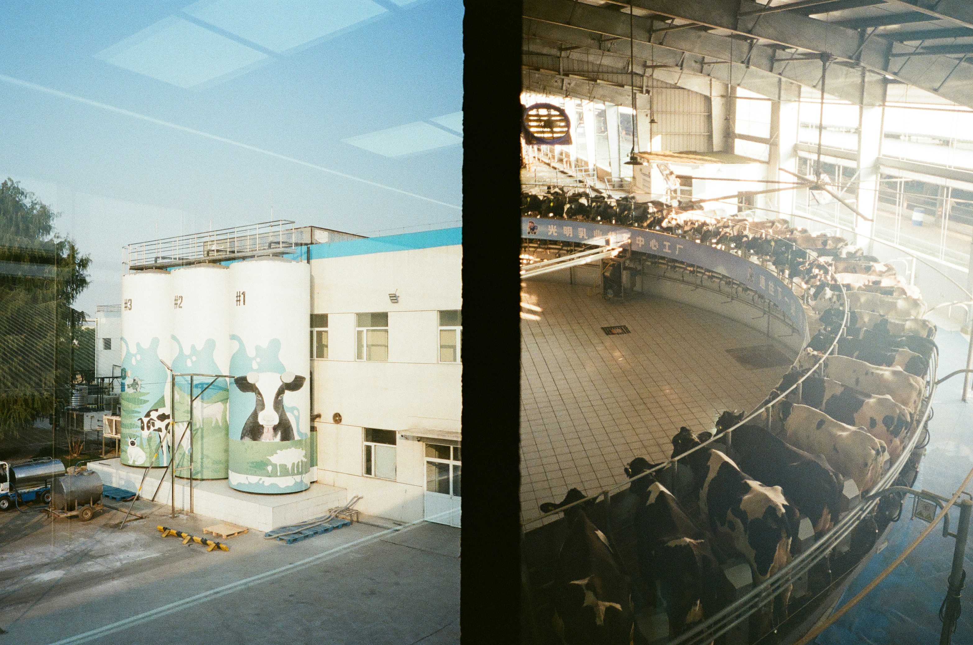 sustainable film production