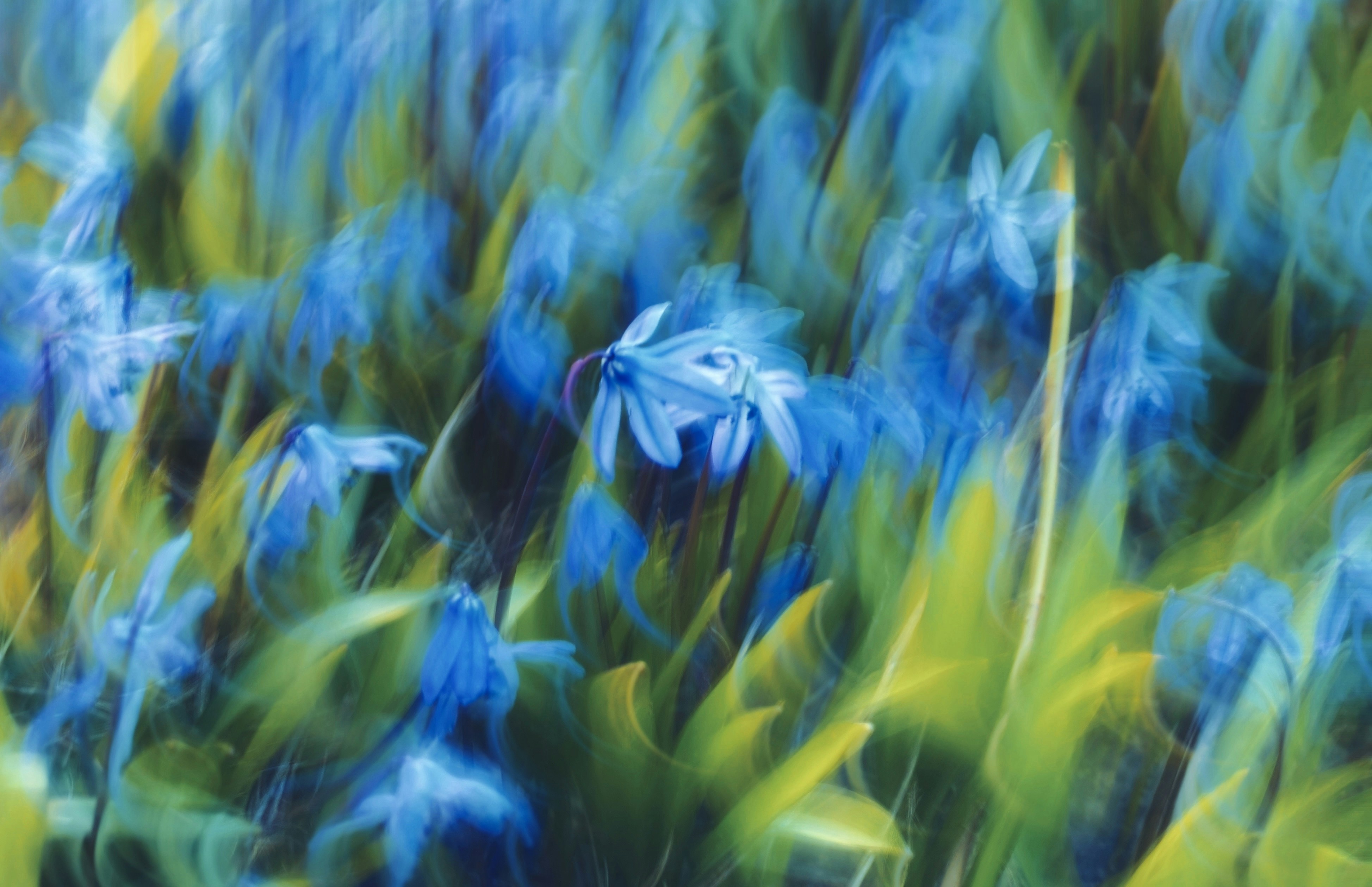 Fiori astratti blu con sfondo verde sfocato