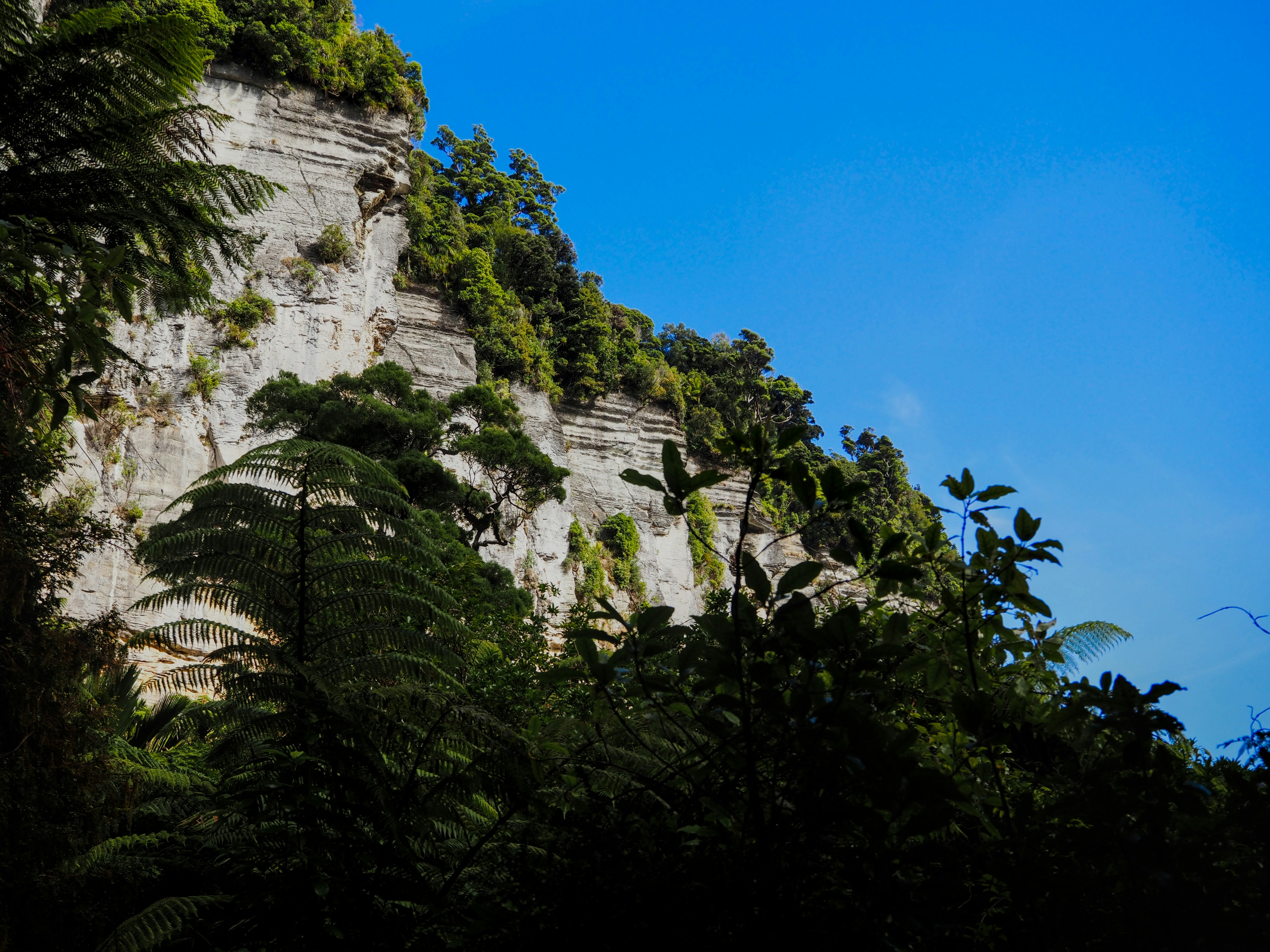 Wildlife and Ecosystems of Khao Sam Roi Yot - Khao Sam Roi Yot Cave