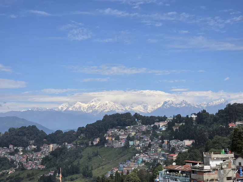 Best Rooftop Cafes in Darjeeling With Views Worth the Climb