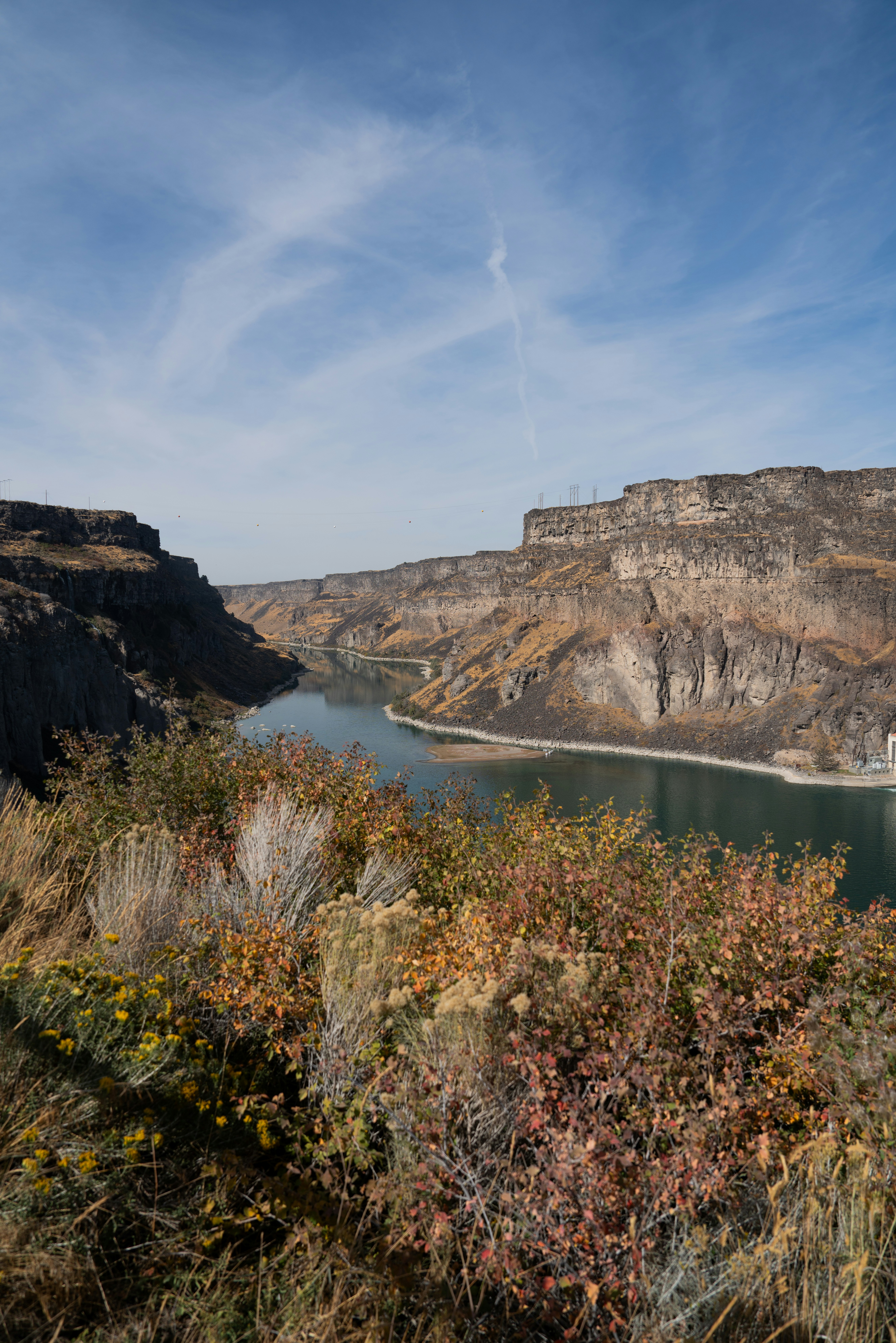 Photo by MAUD Concepts on Unsplash