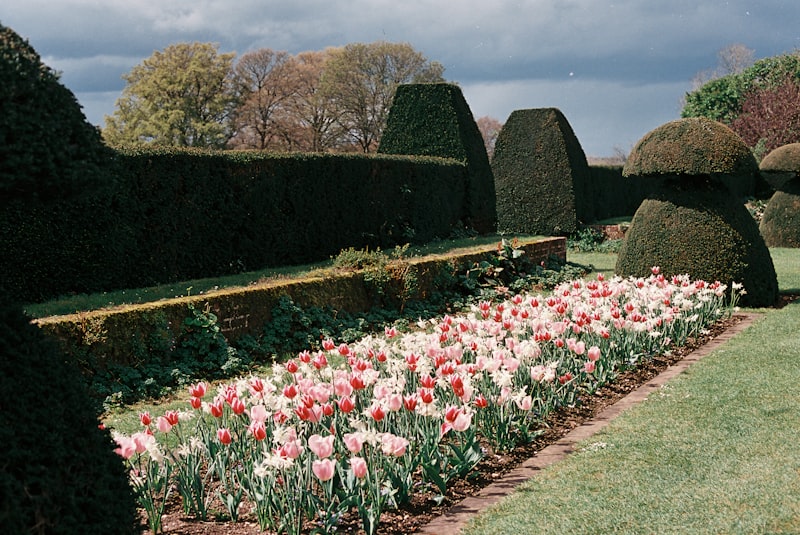Giardino formale con siepi e fioriture ordinate