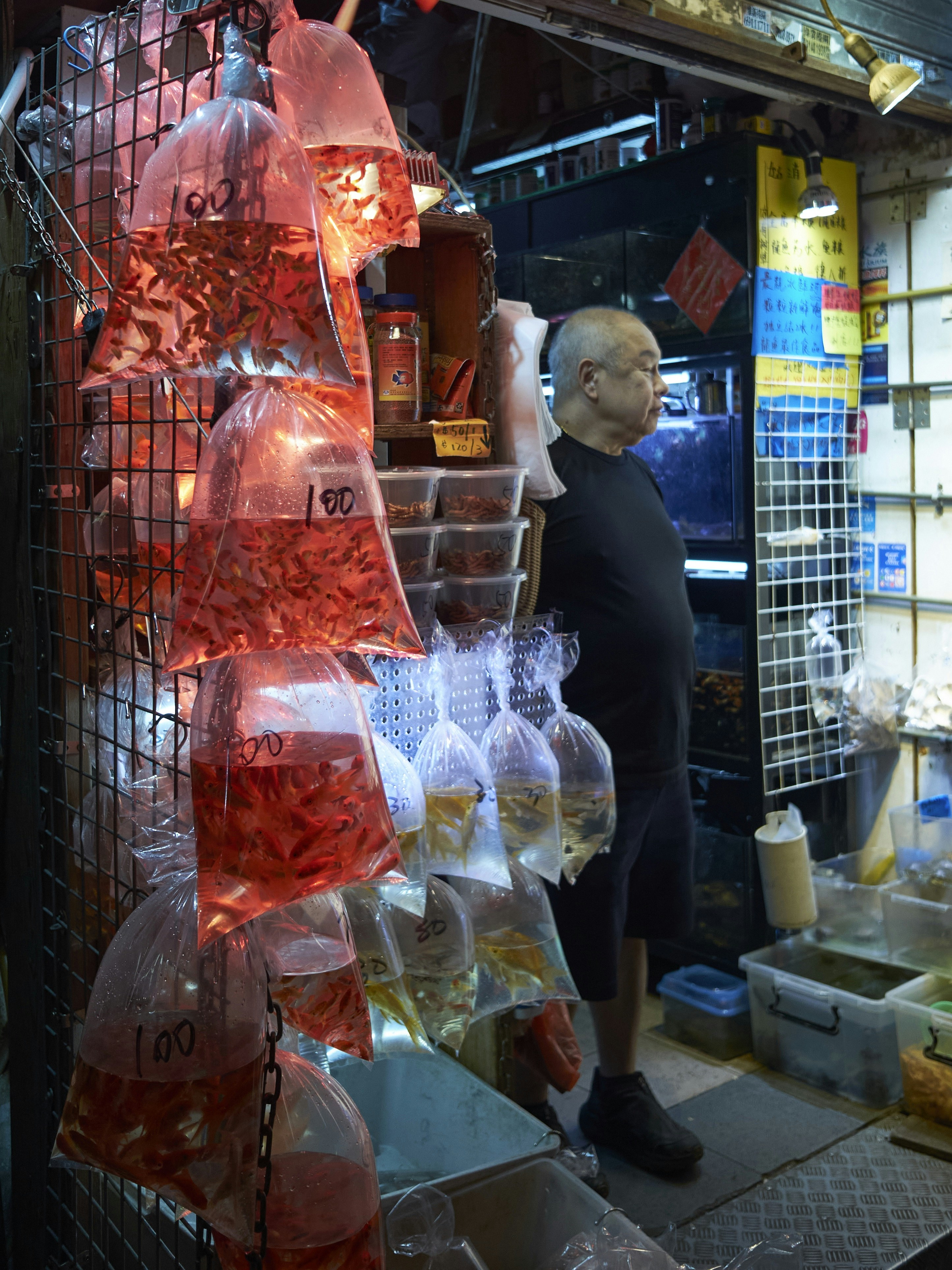 Man standing at a market stall with fish in bags.