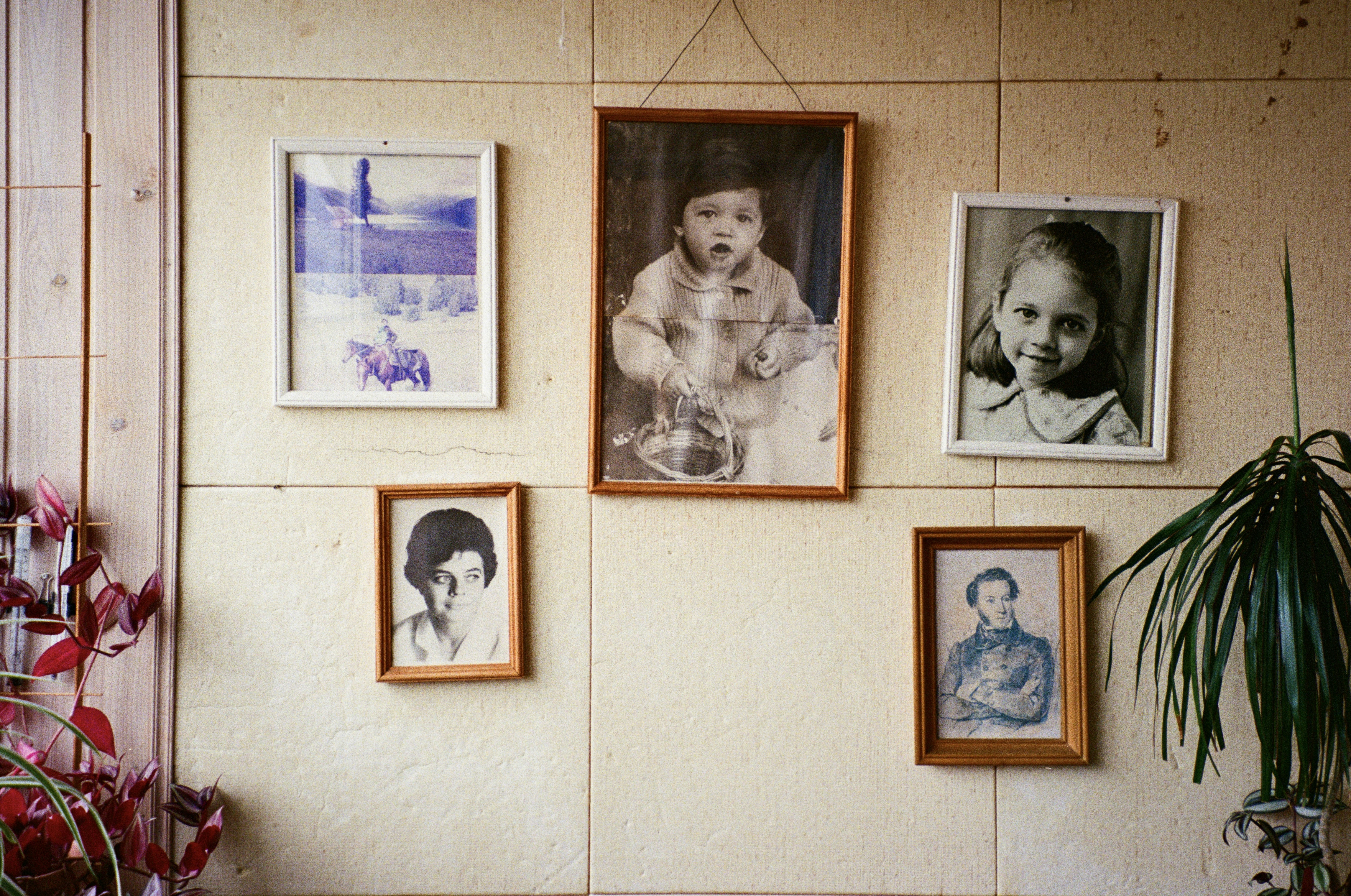 Photo by ulyyyanka