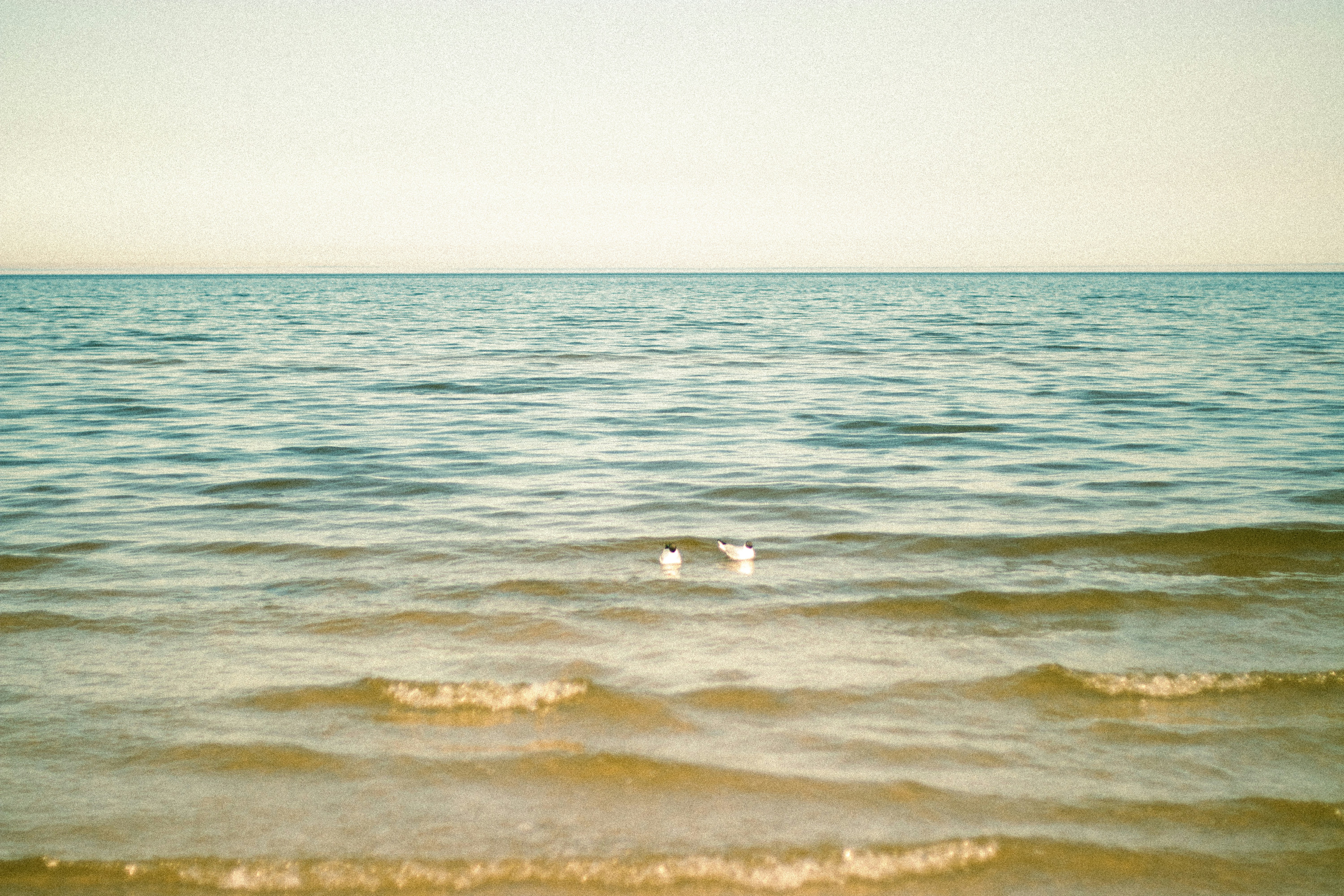 Photo by reinisbruzitis