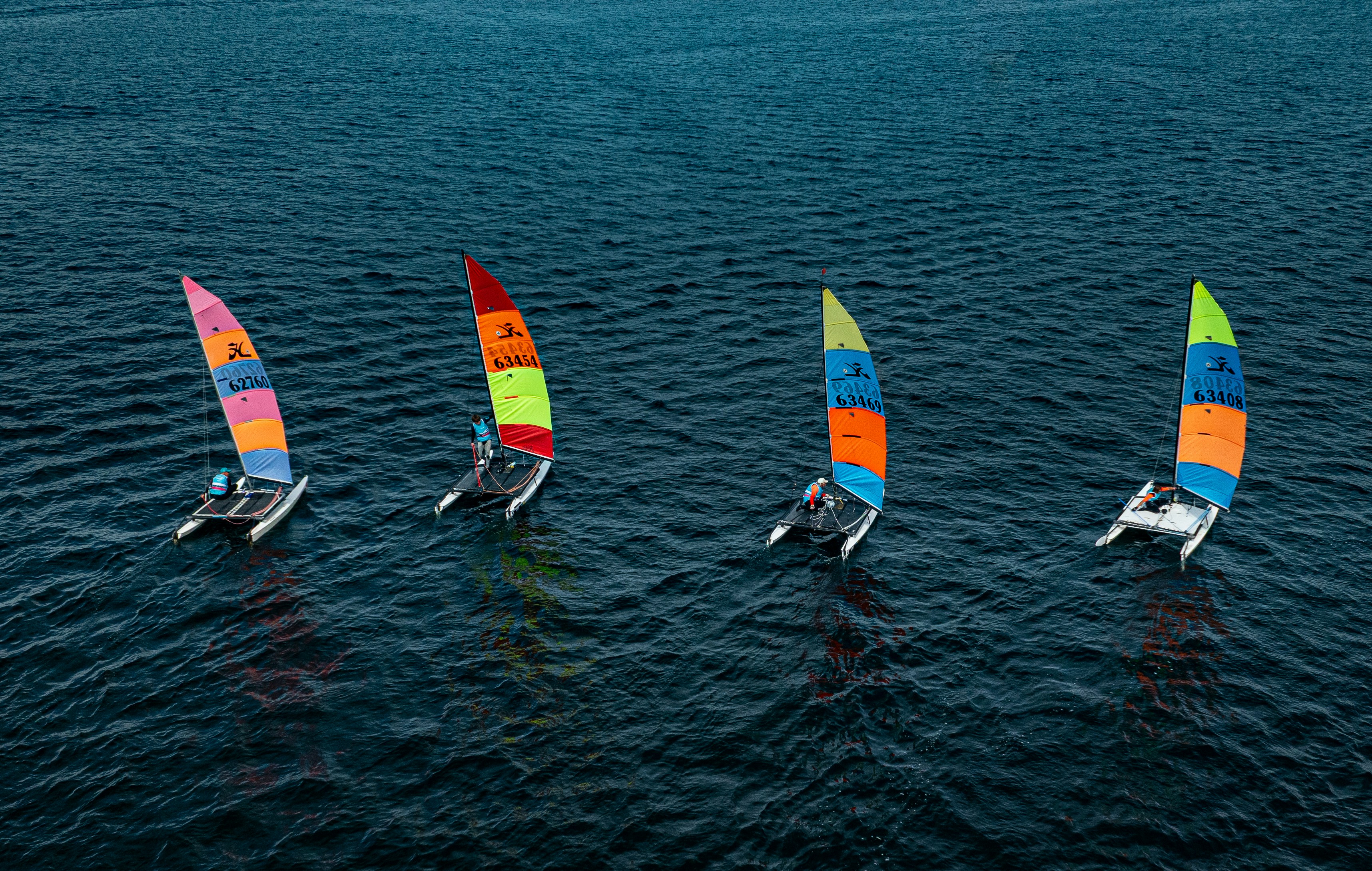 Four colorful sailboats race across the dark blue ocean