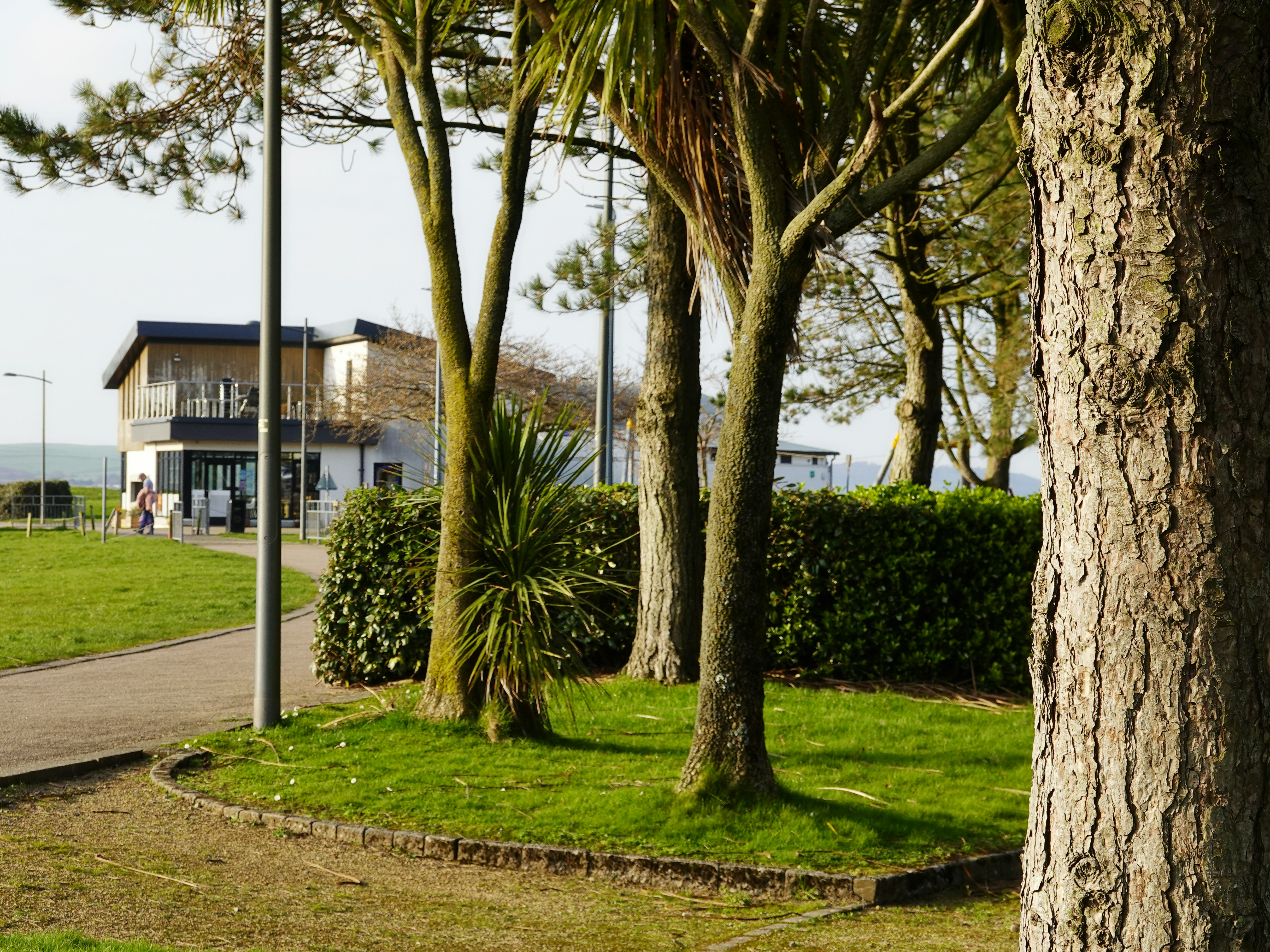 Trees and building near a park path