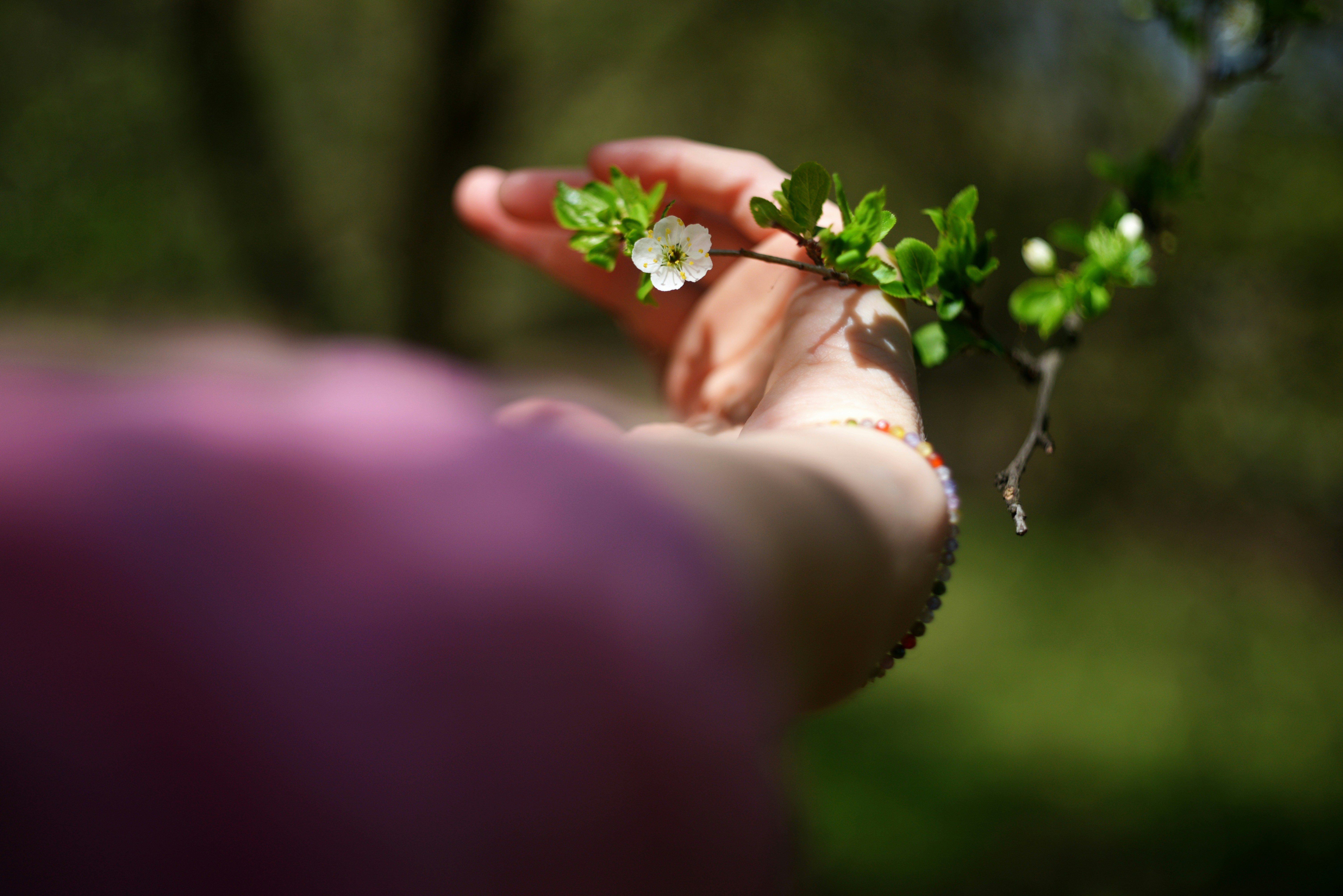 A hand gently touches a delicate white flower.