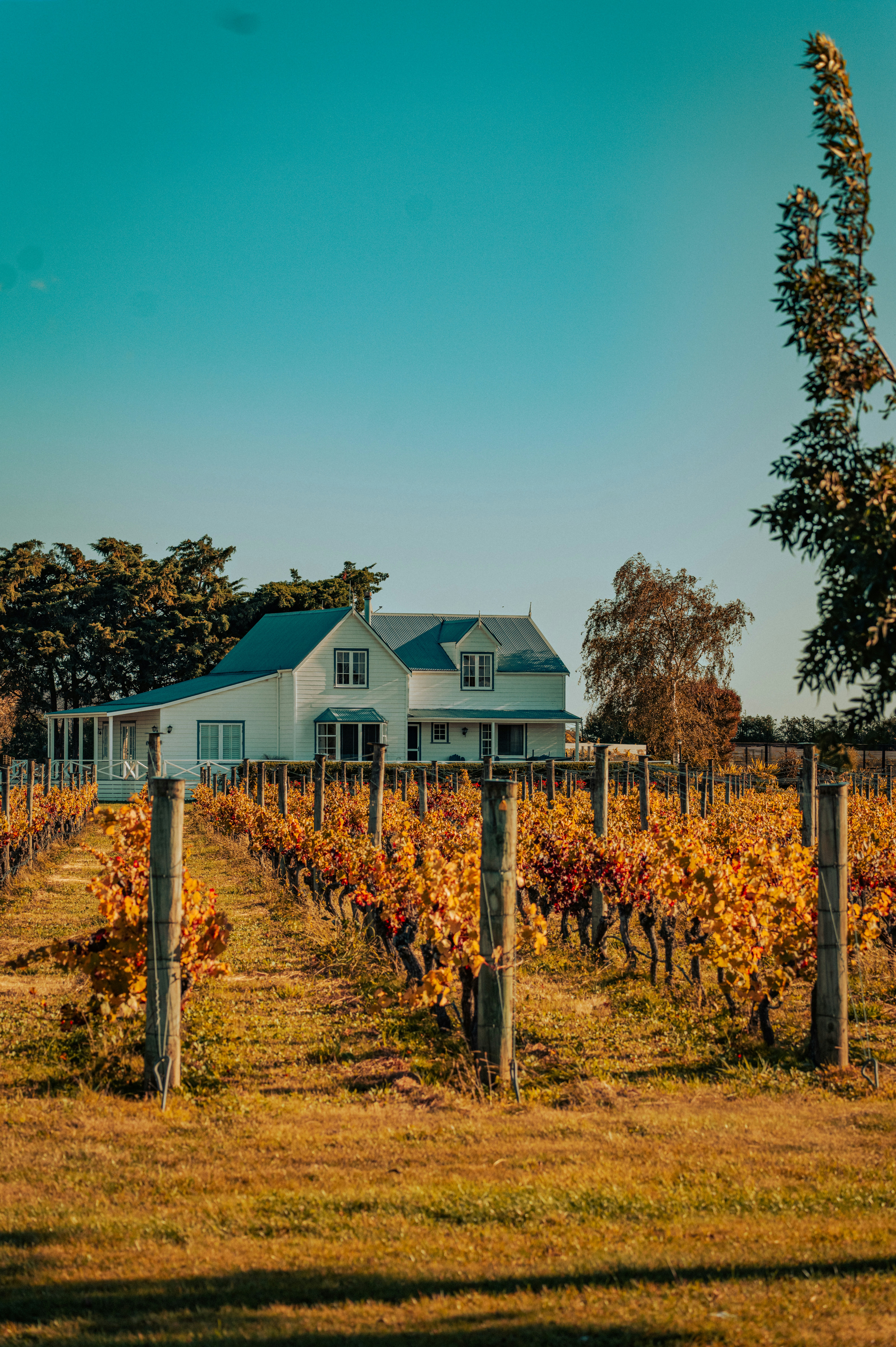 Harvest Tours