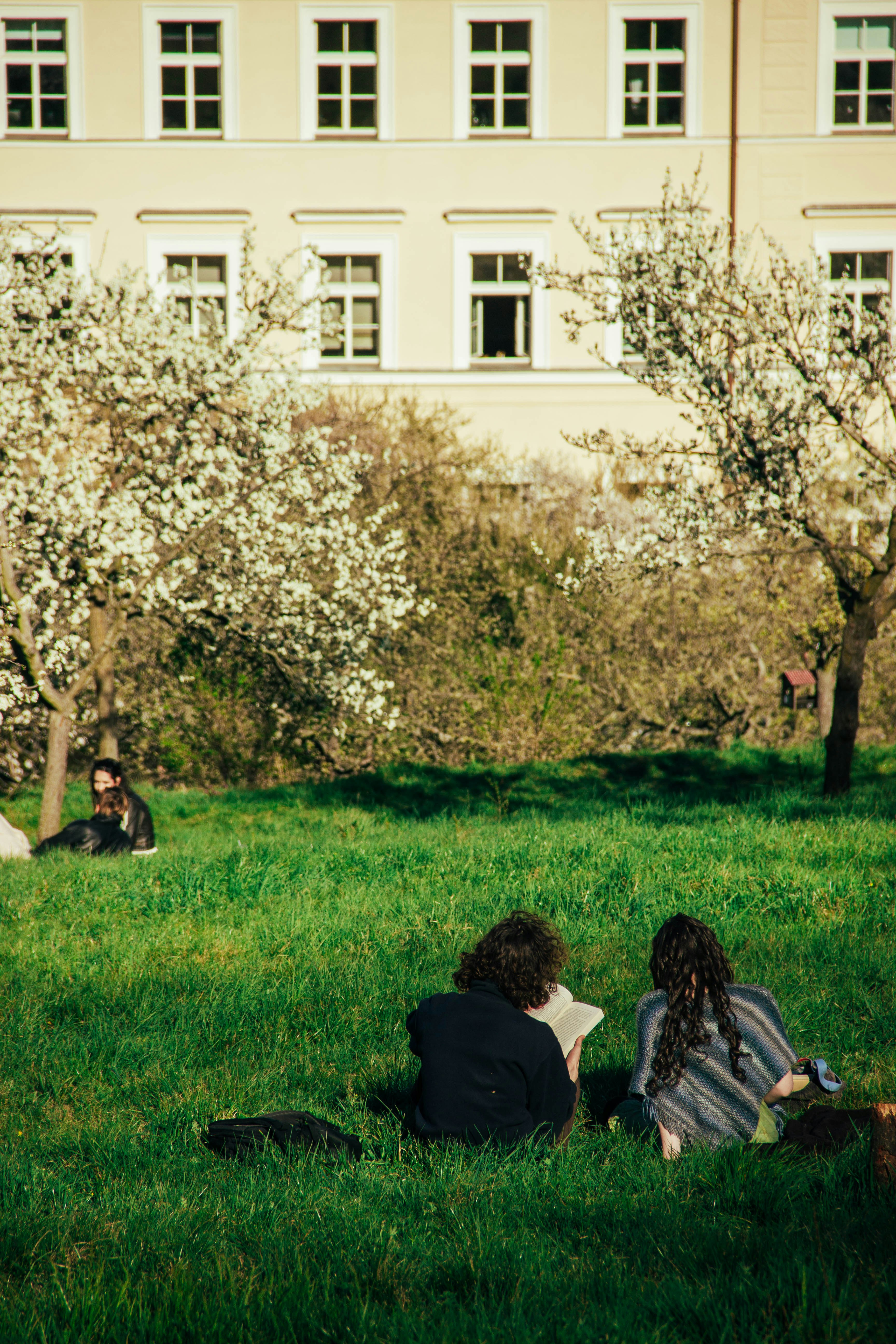 children reading spring