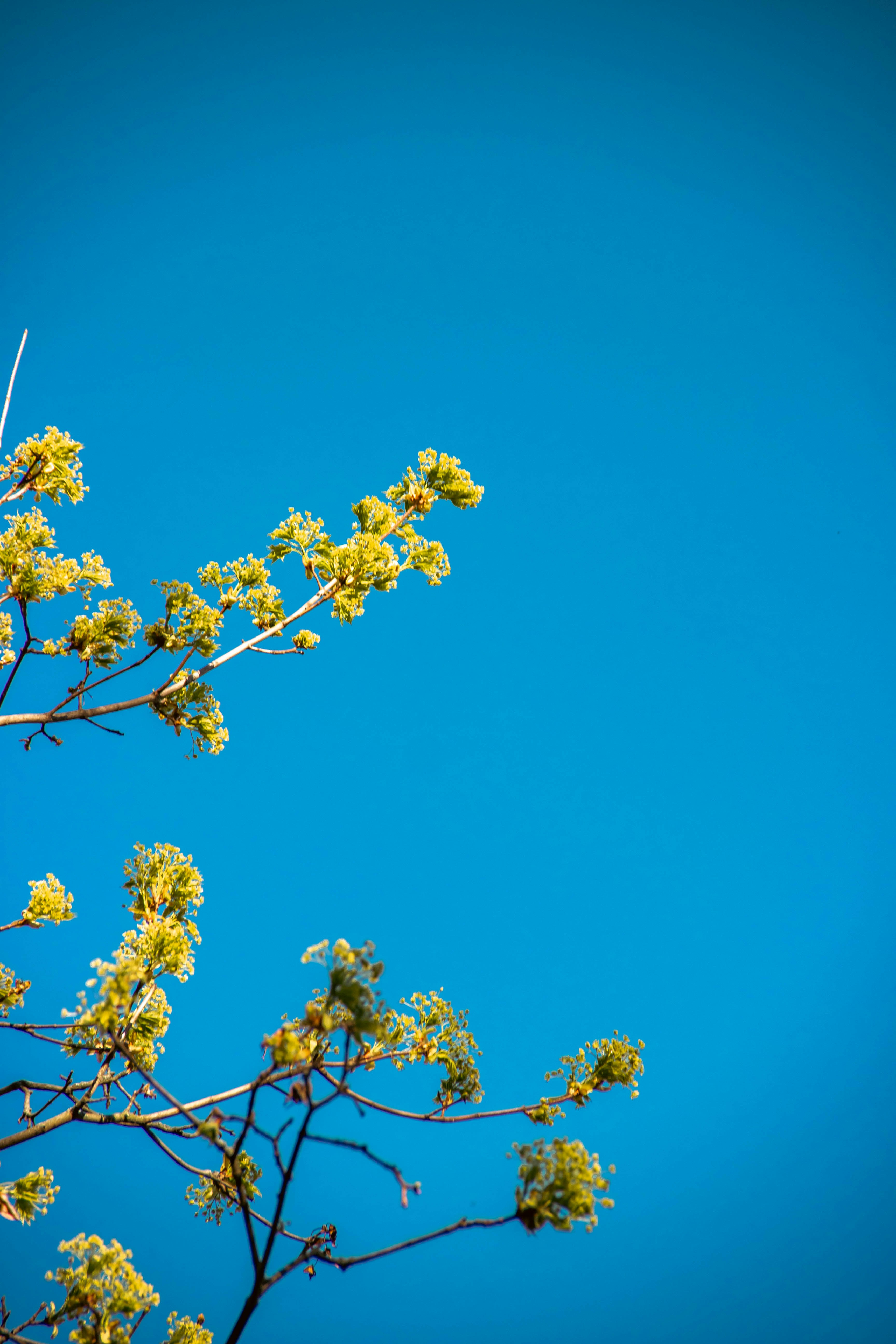 Photo by daniyarorazov