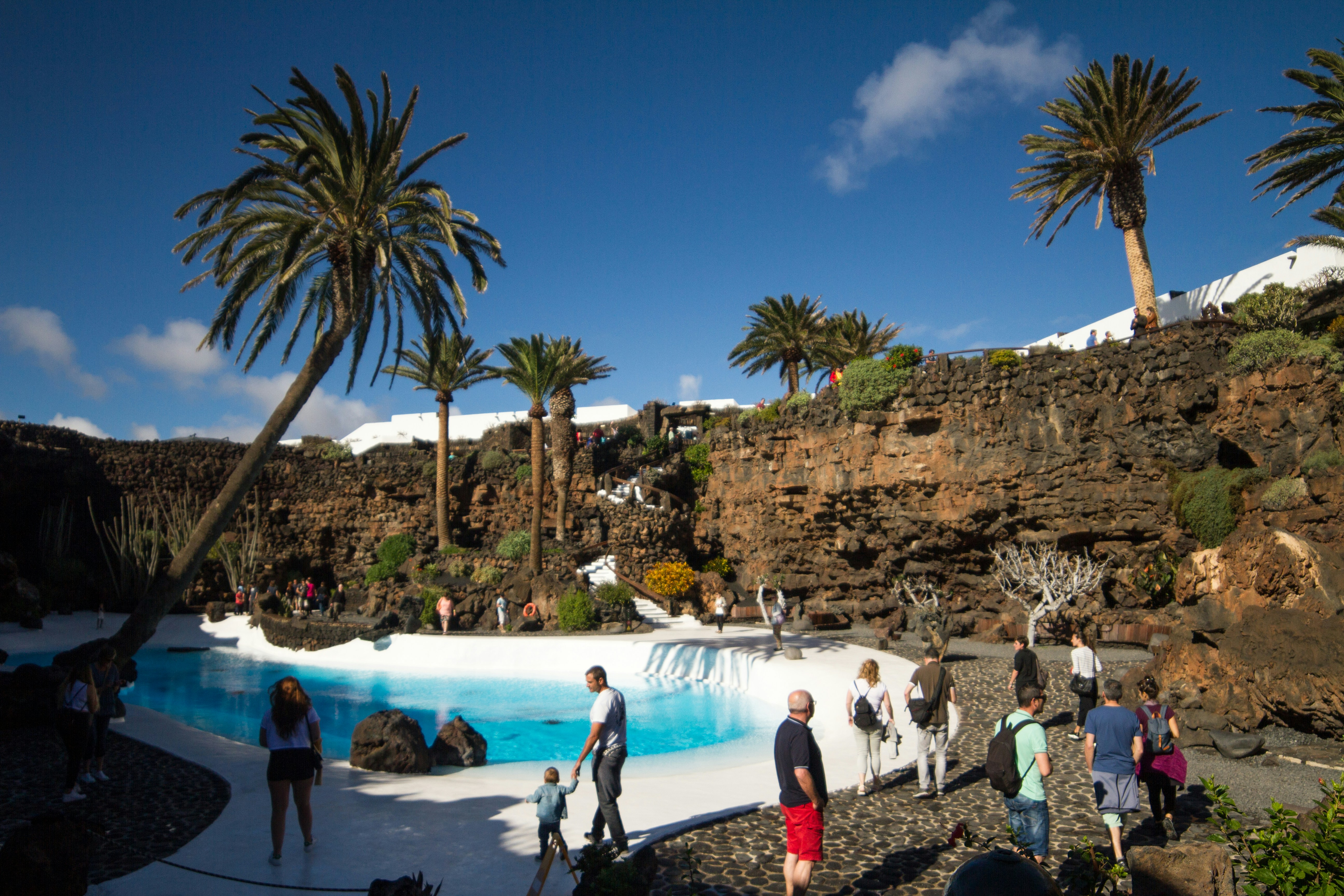 People gathered around a bright blue pool with palm trees.