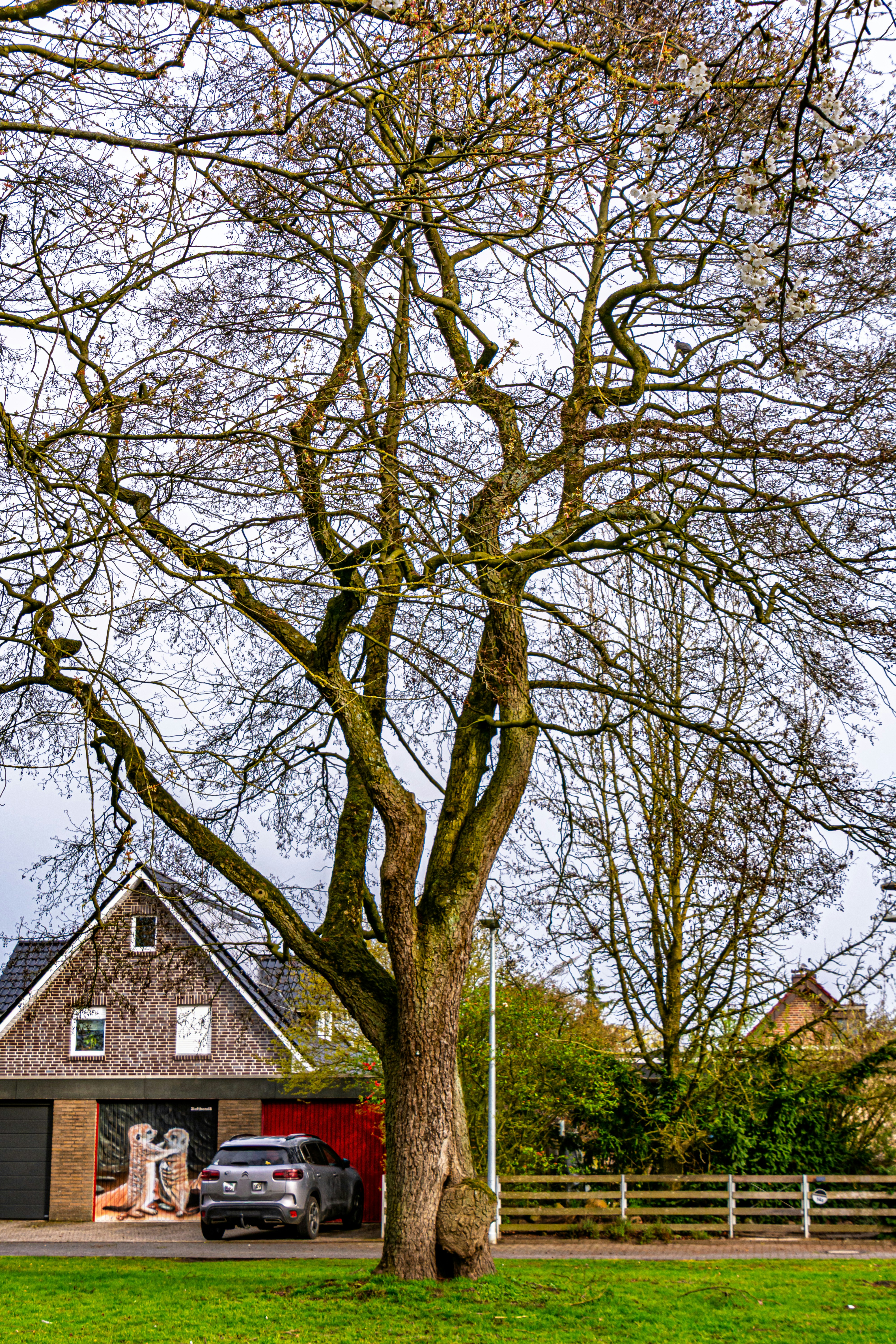 Photo by skstrannik