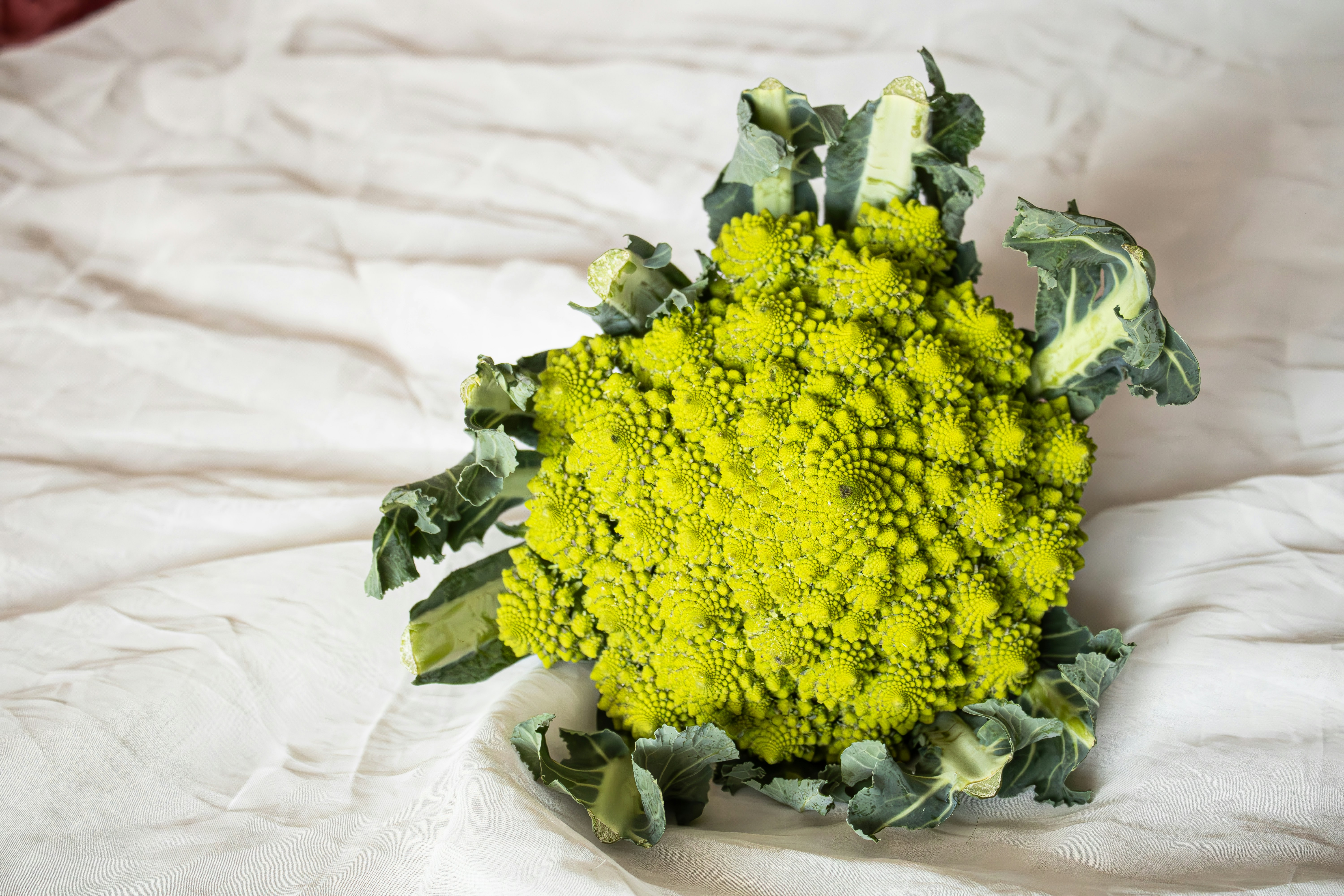 白い布の上にロマネスコのブロッコリー
