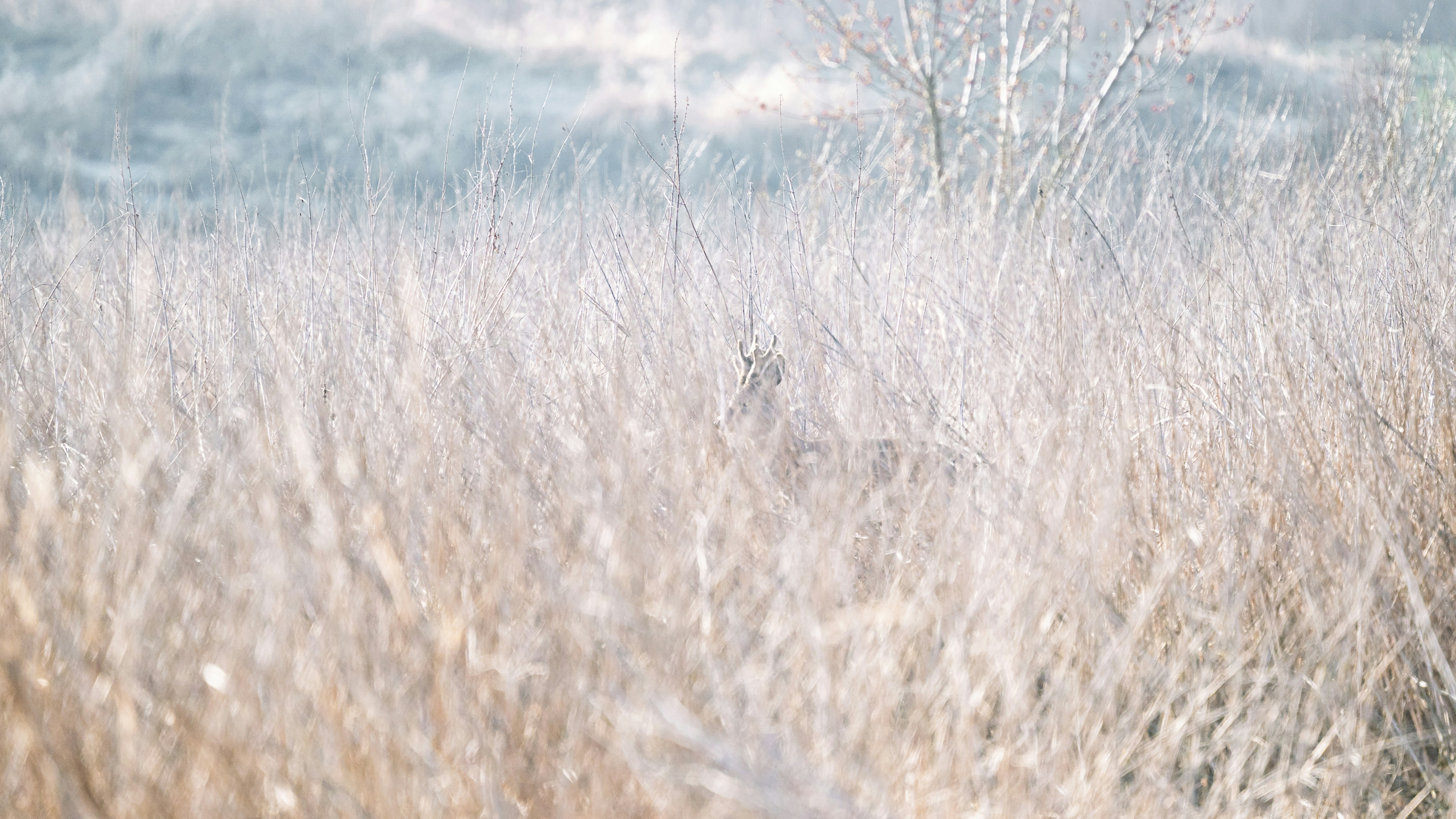 Photo by jetztabertempo