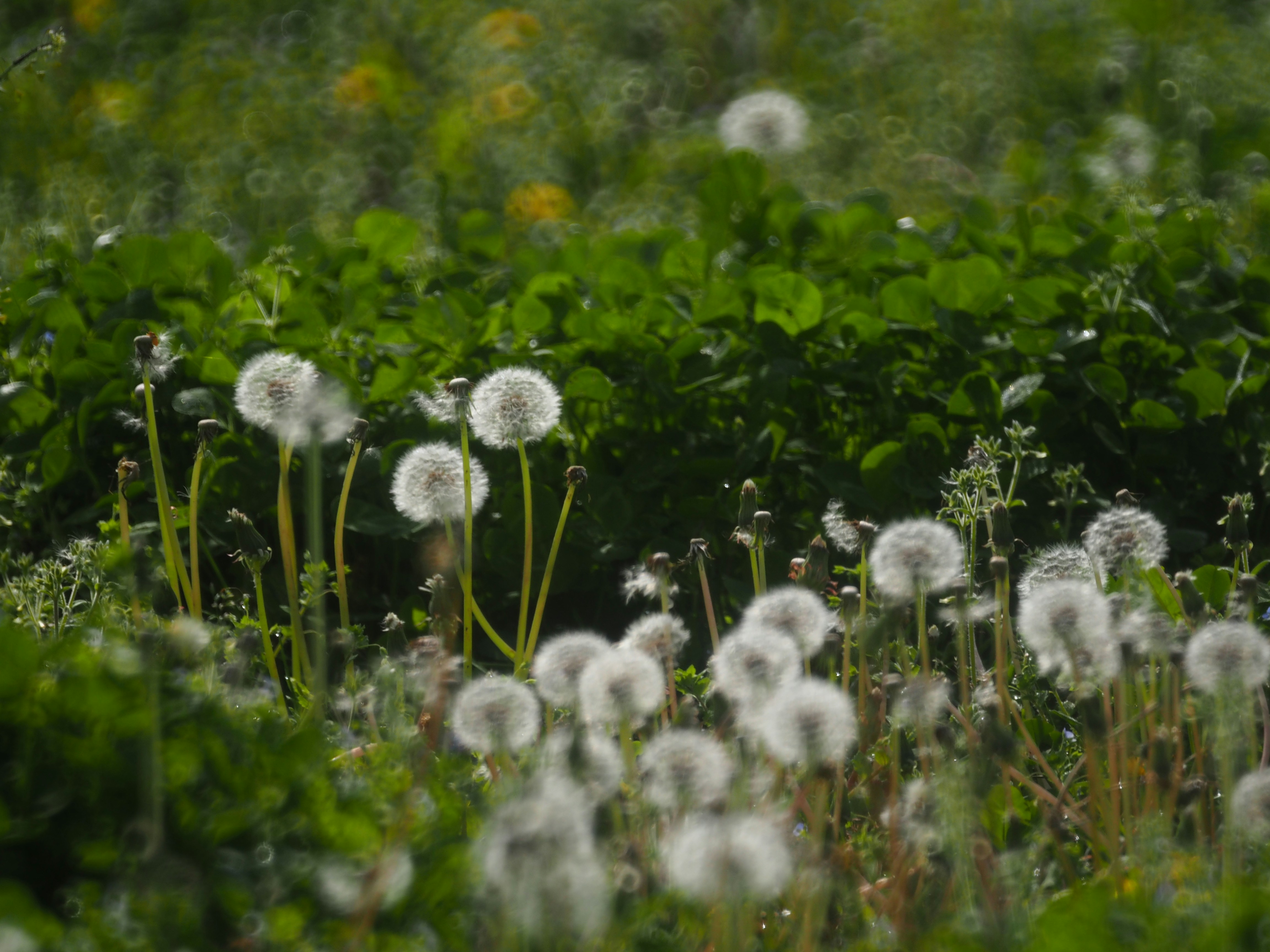 Photo by ocher47