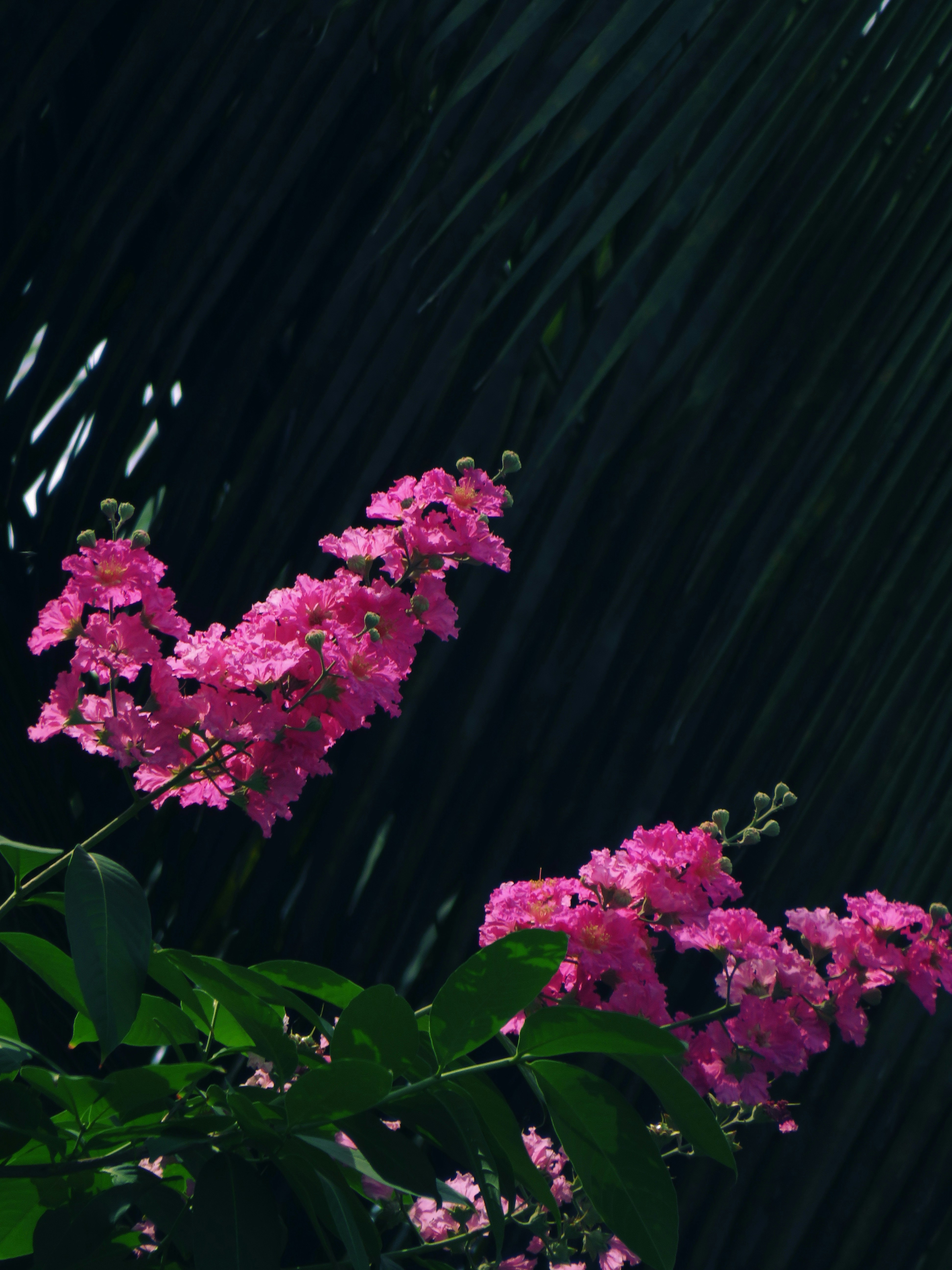 Photo by alphontrio