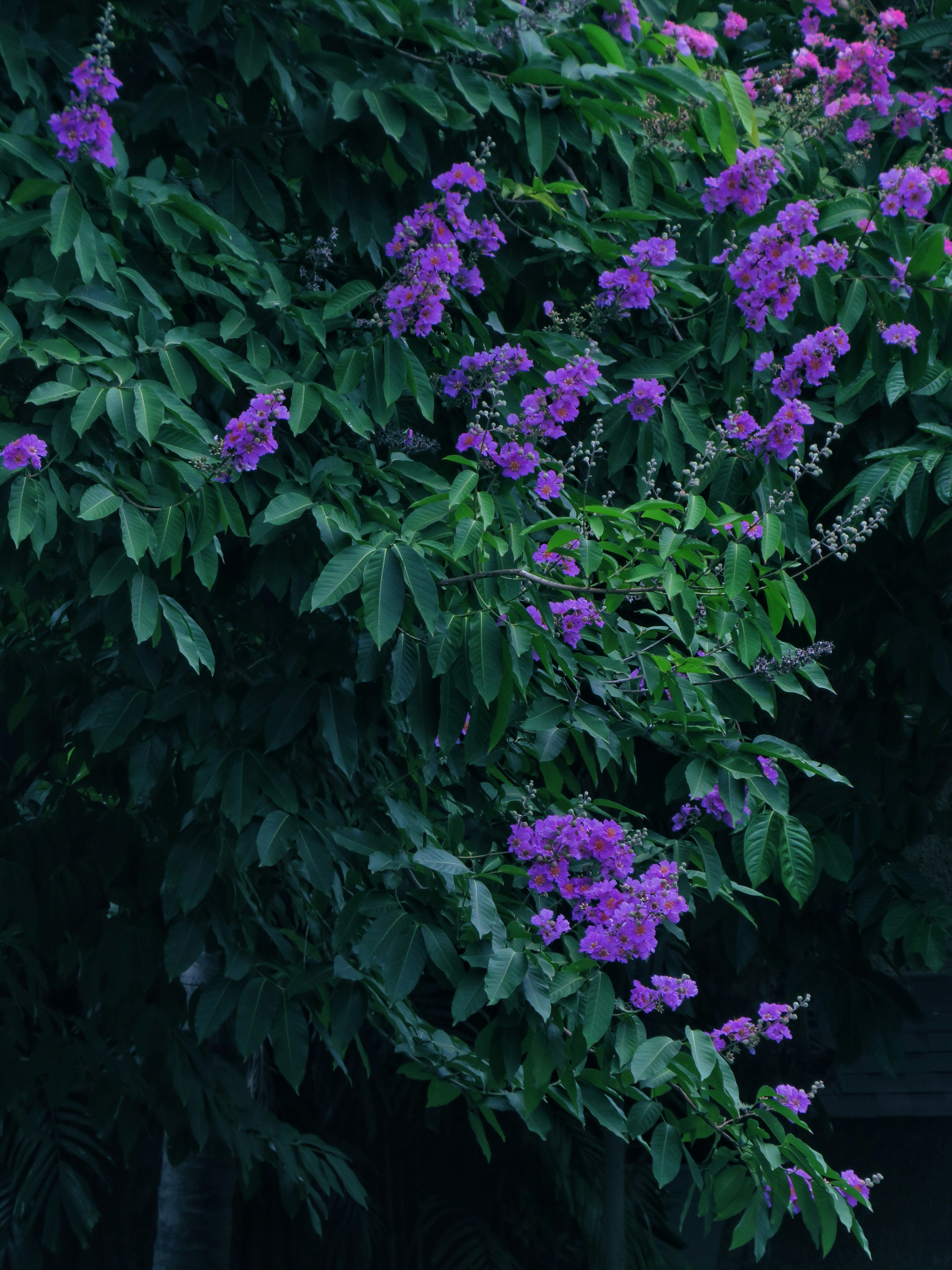 Photo by alphontrio
