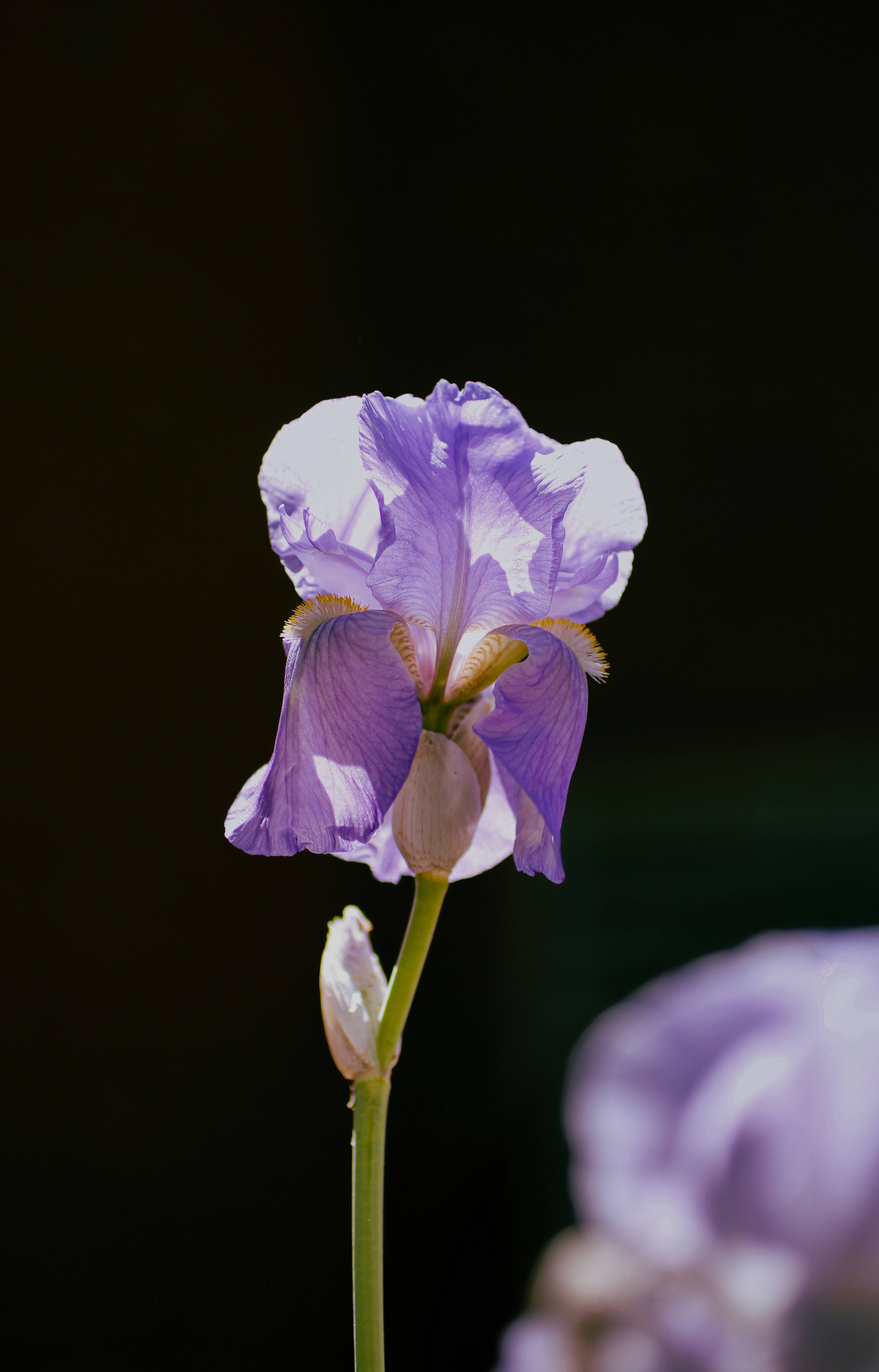 Photo by iracooper