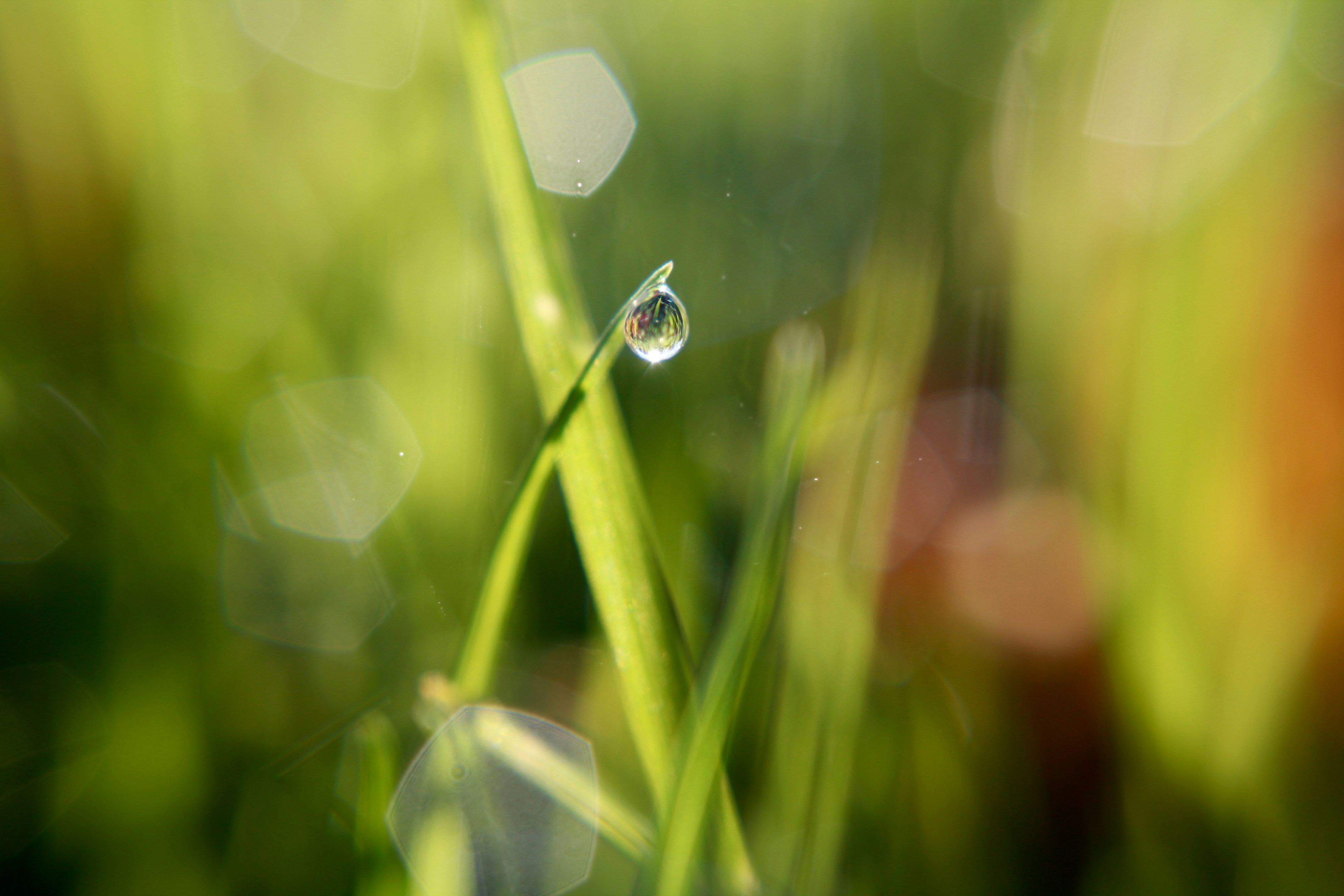 Photo by mariahkrafft