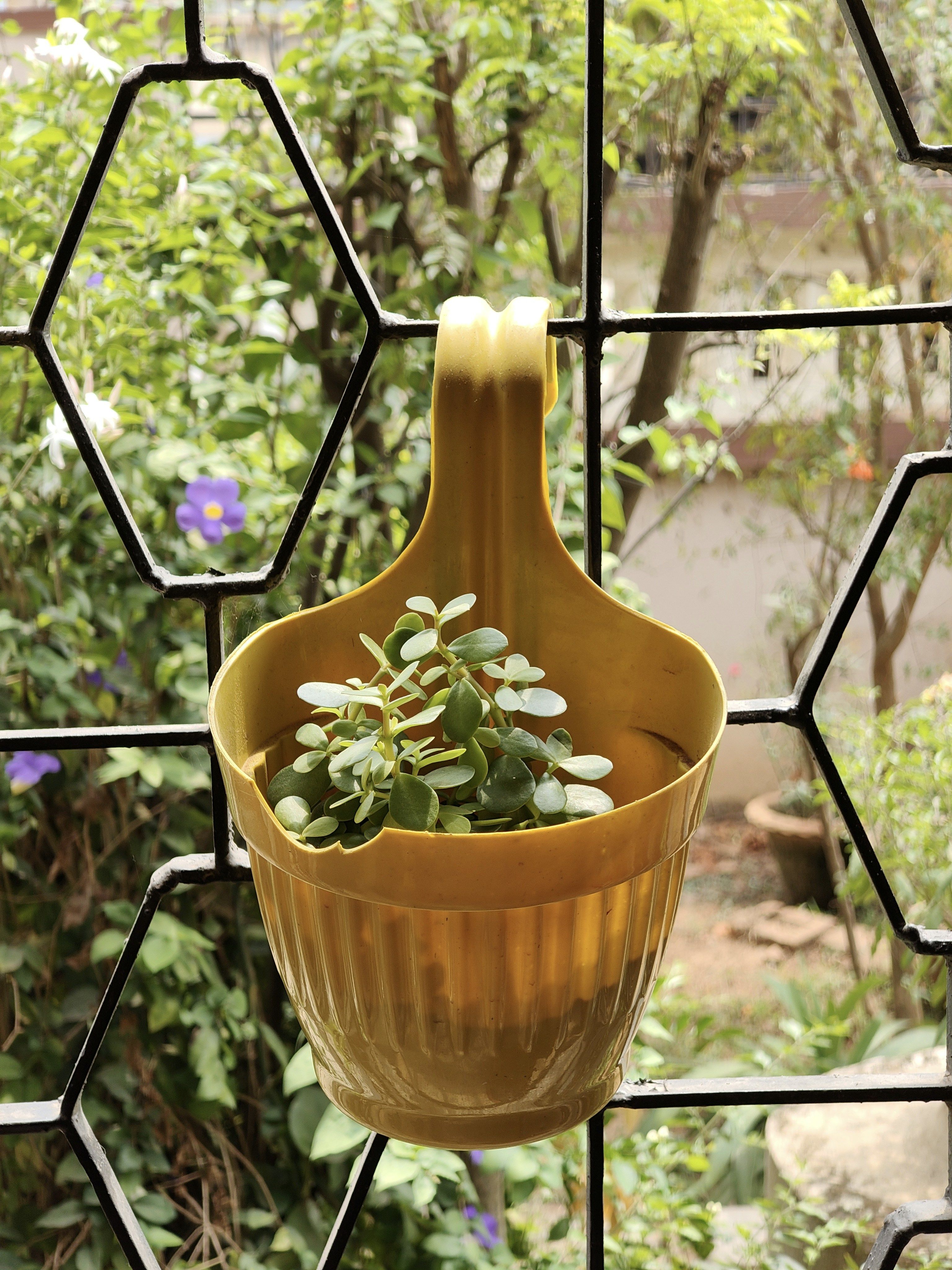 potted plants outdoor idea 2