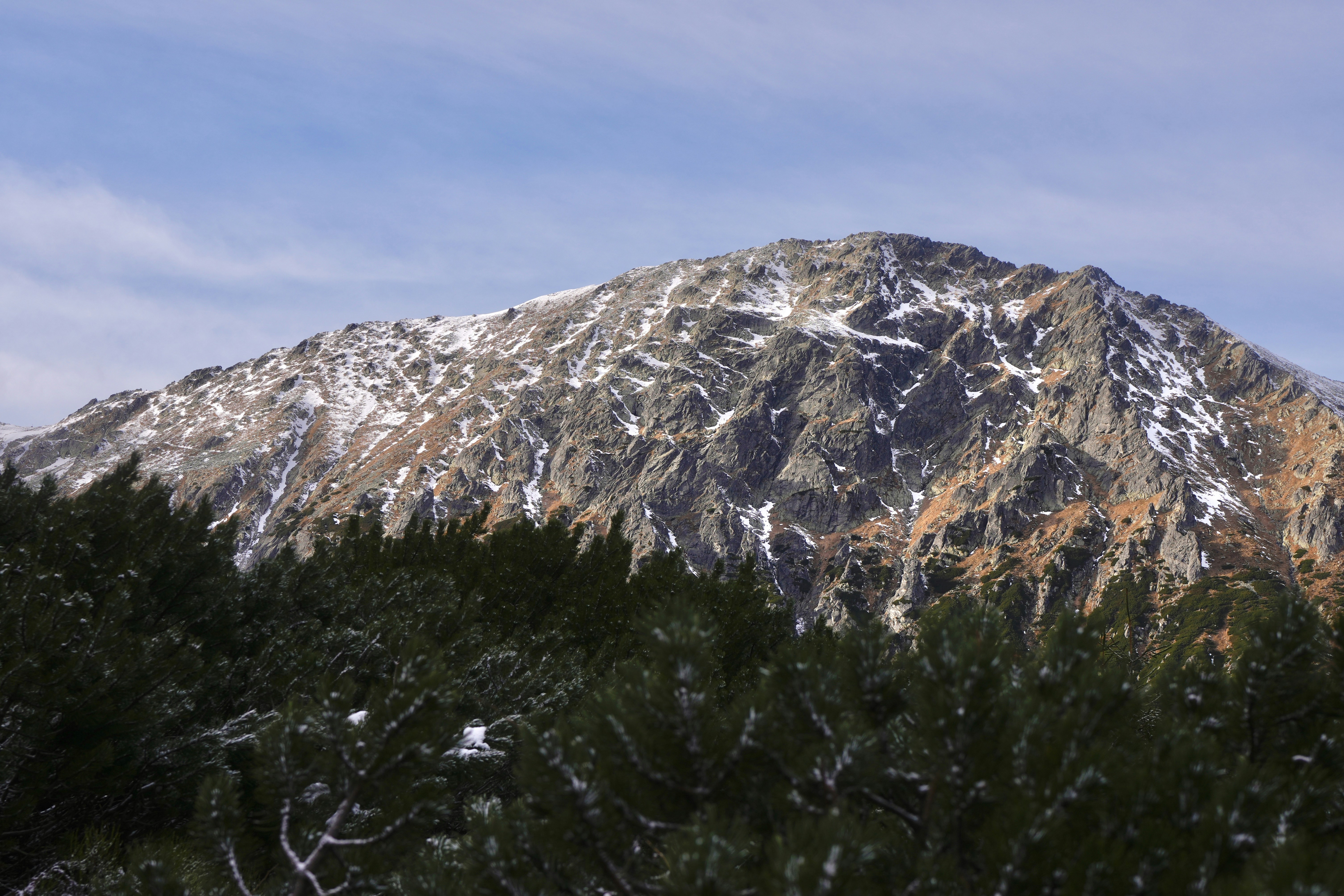 Cima montañosa cubierta de nieve sobre pinos oscuros