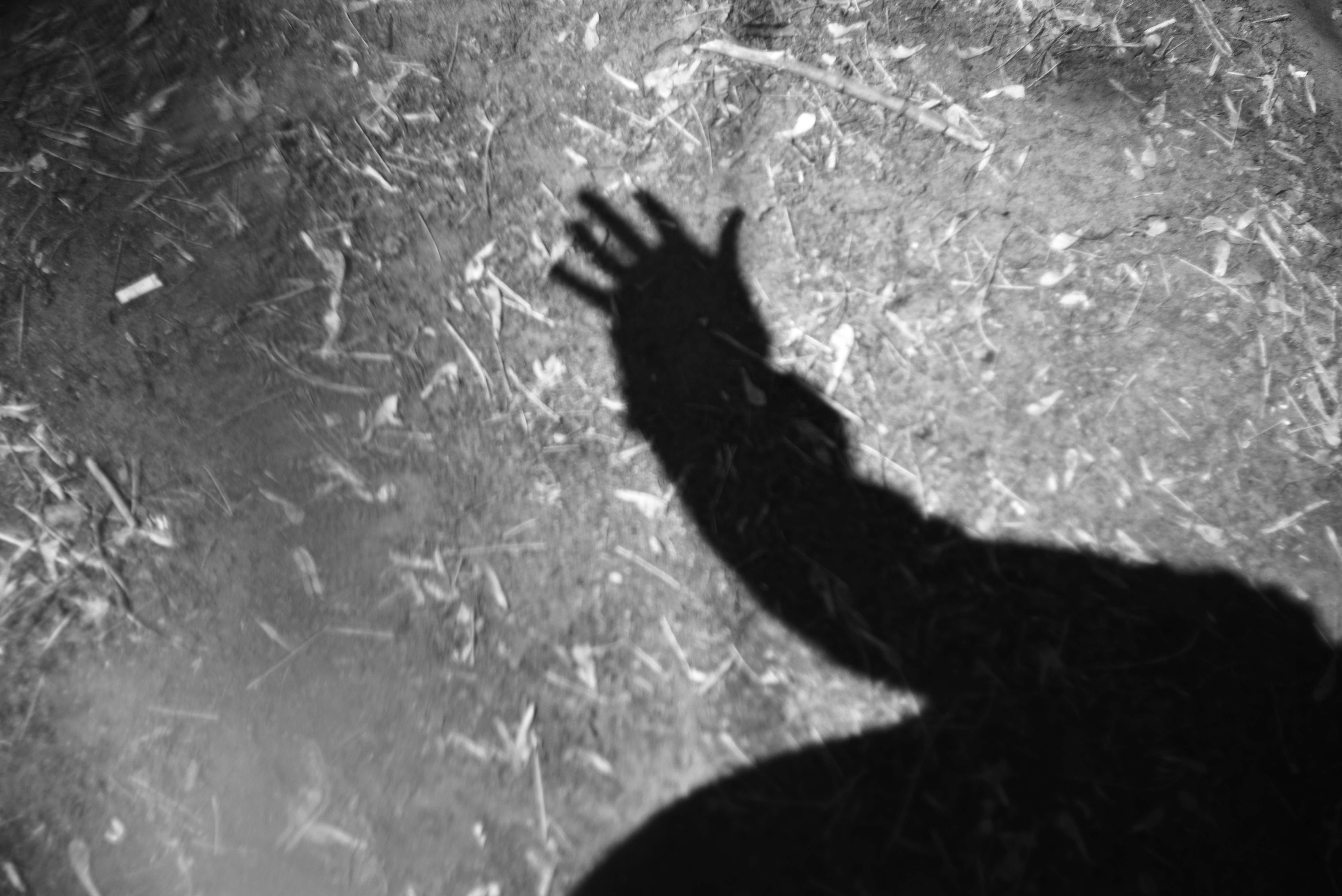 テクスチャーのある地面に伸びる手の影