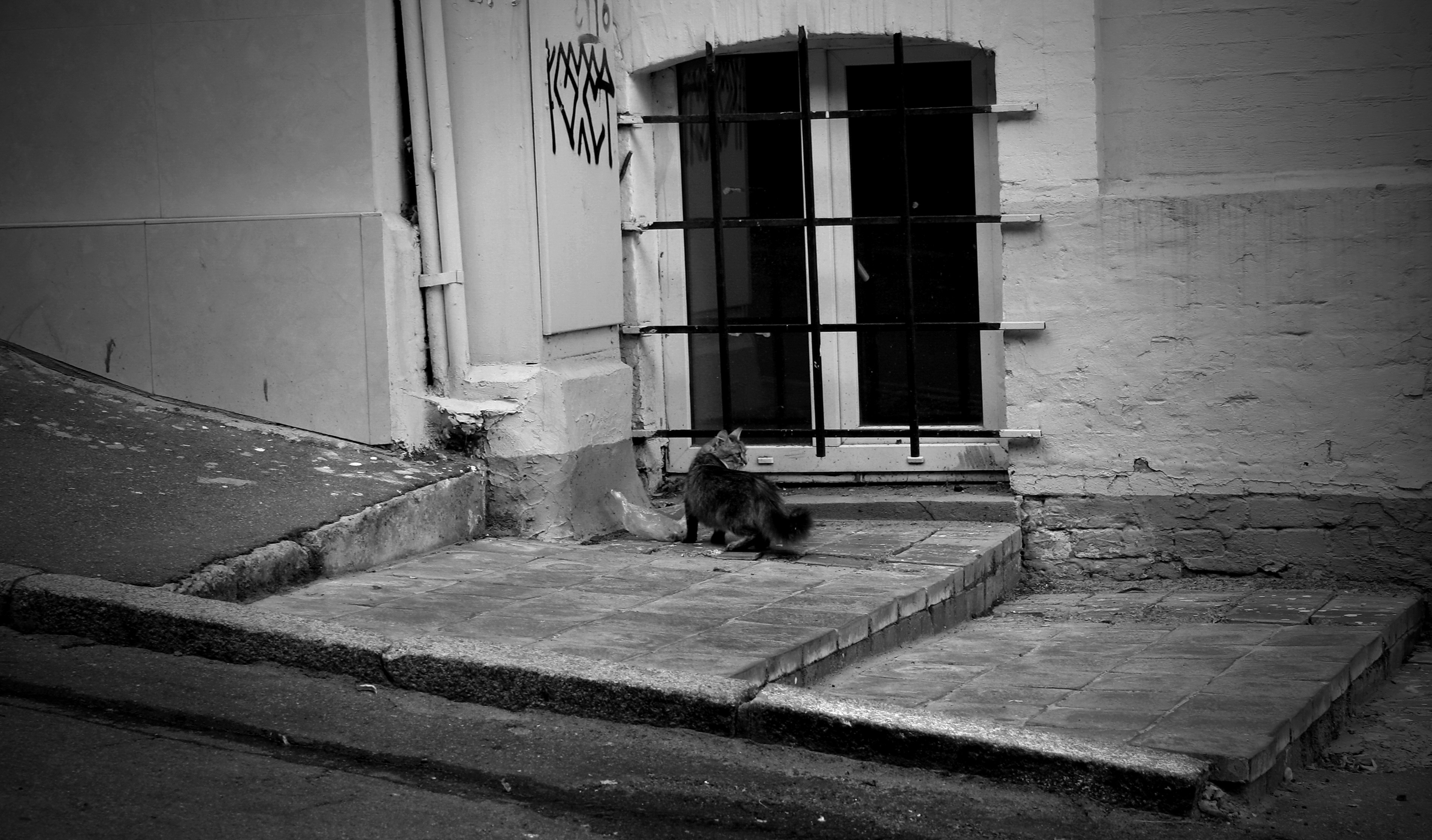 Photo by yuslava