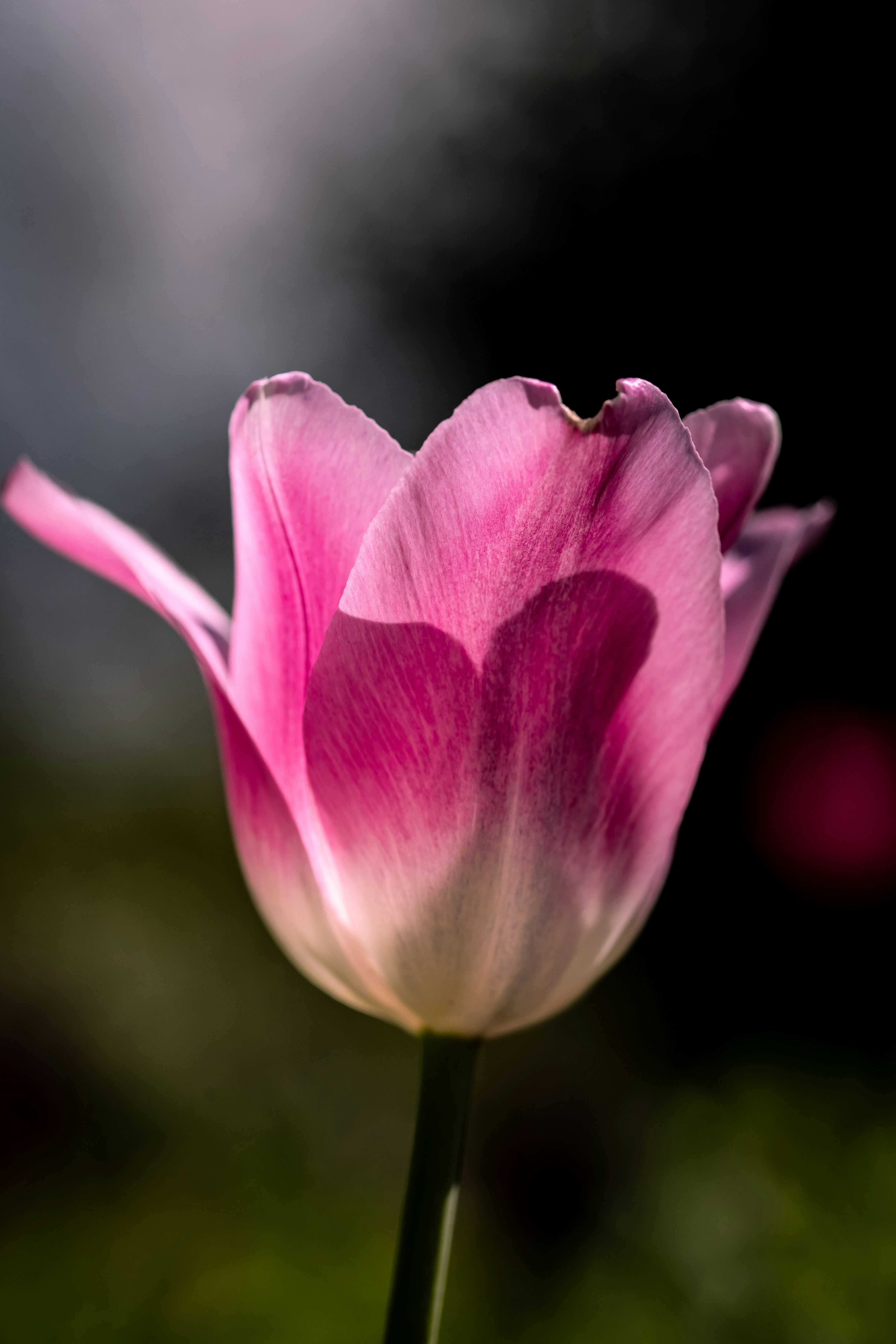 Photo by hdbernd