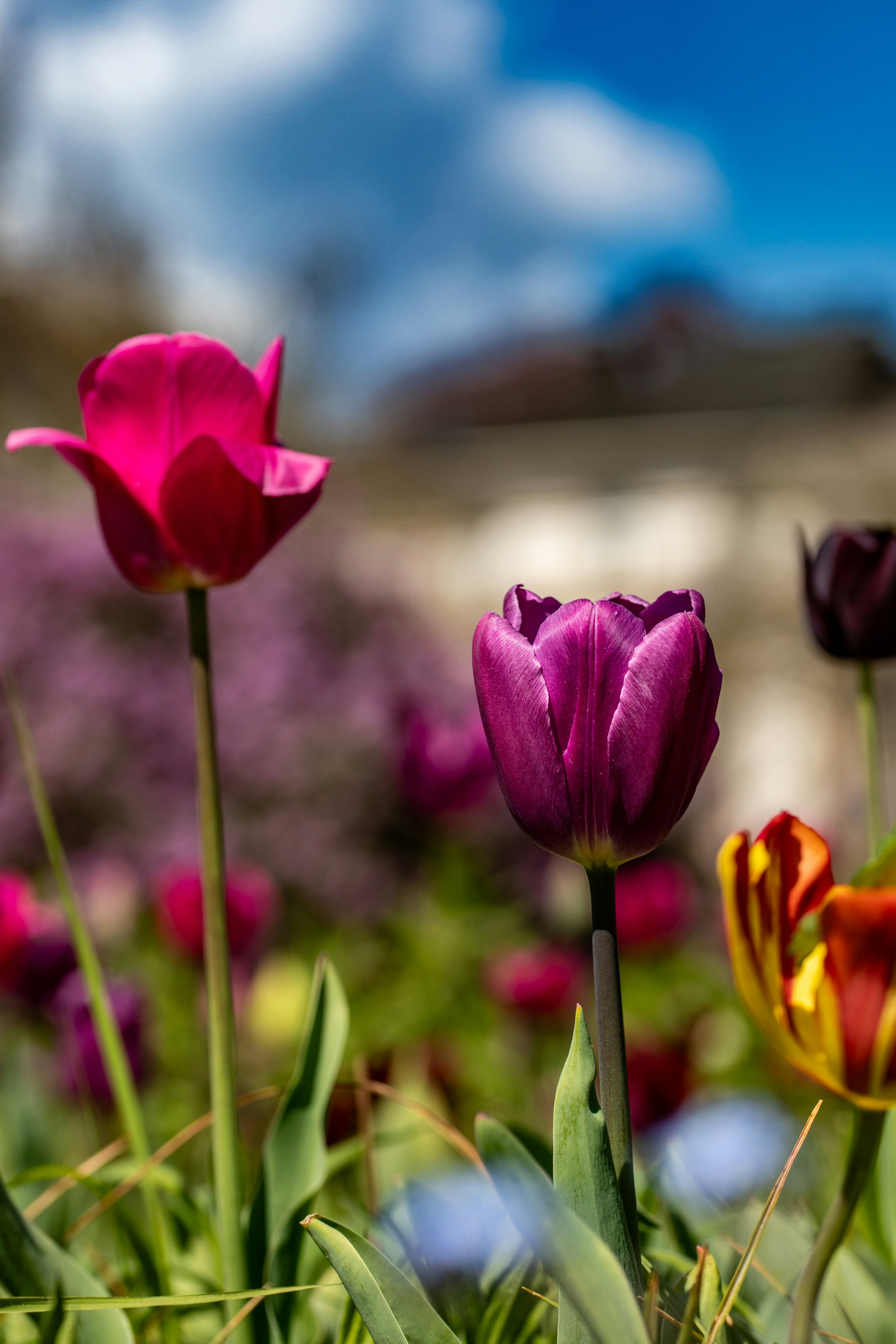 Photo by hdbernd