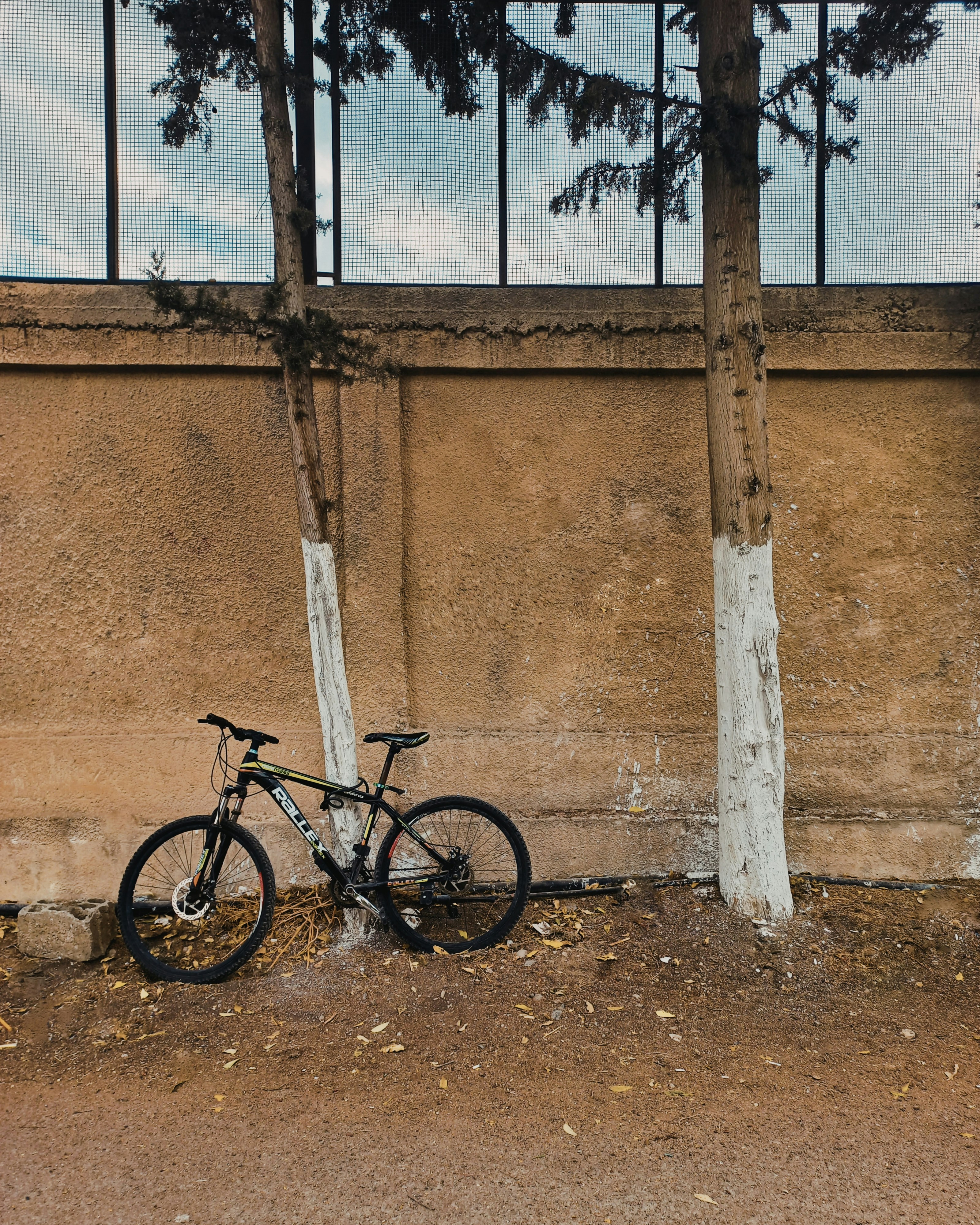 Photo by chasethepine