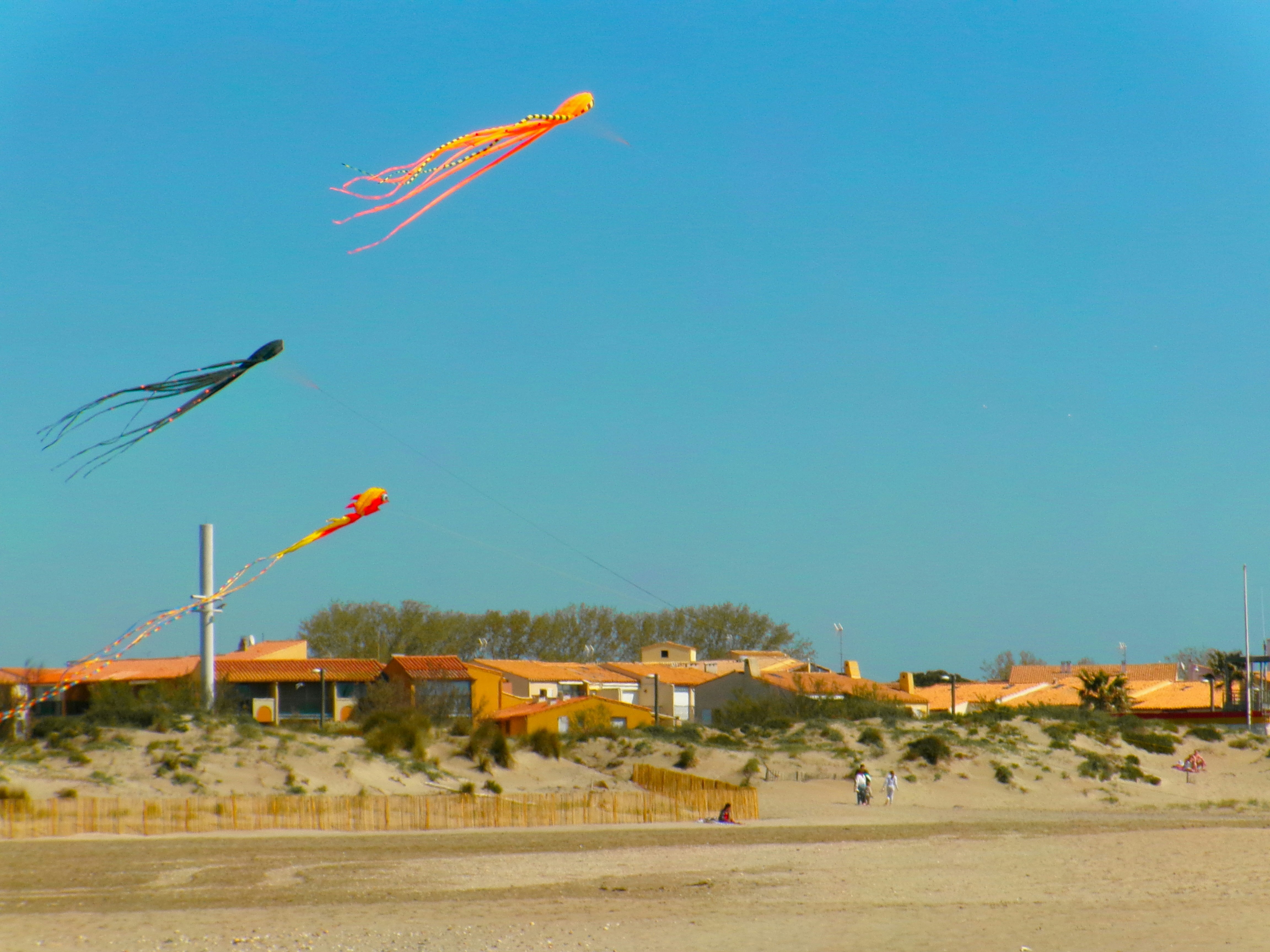 Kites flying in the blue sky over beach houses